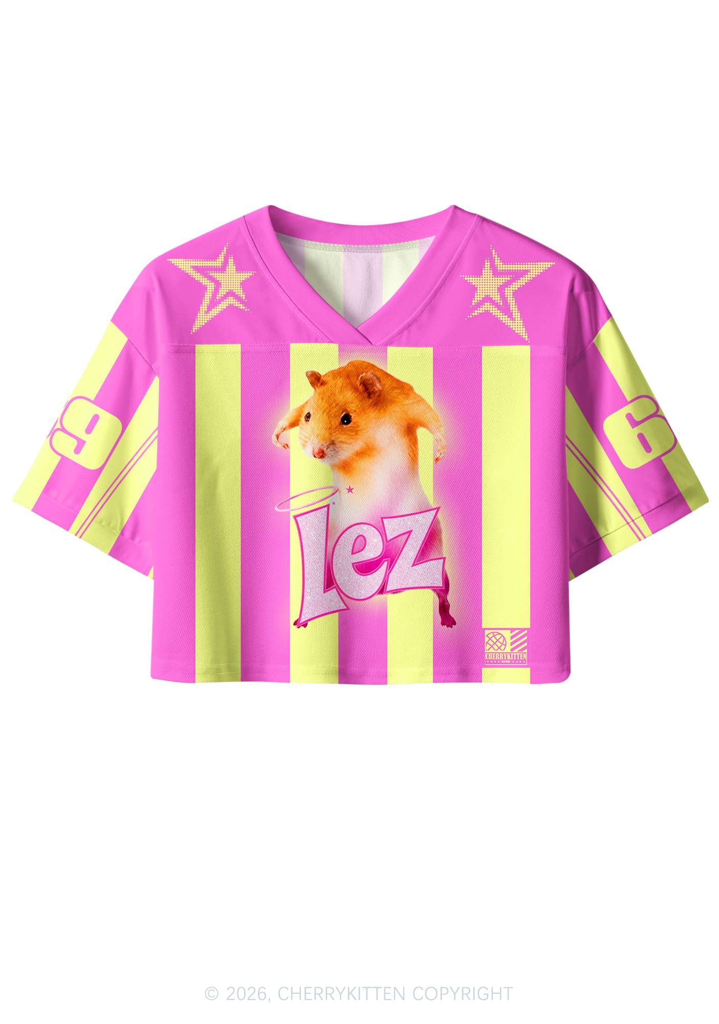 Lez Pink Ratz Pride Y2K Crop Sport Jersey Shirts Cherrykitten