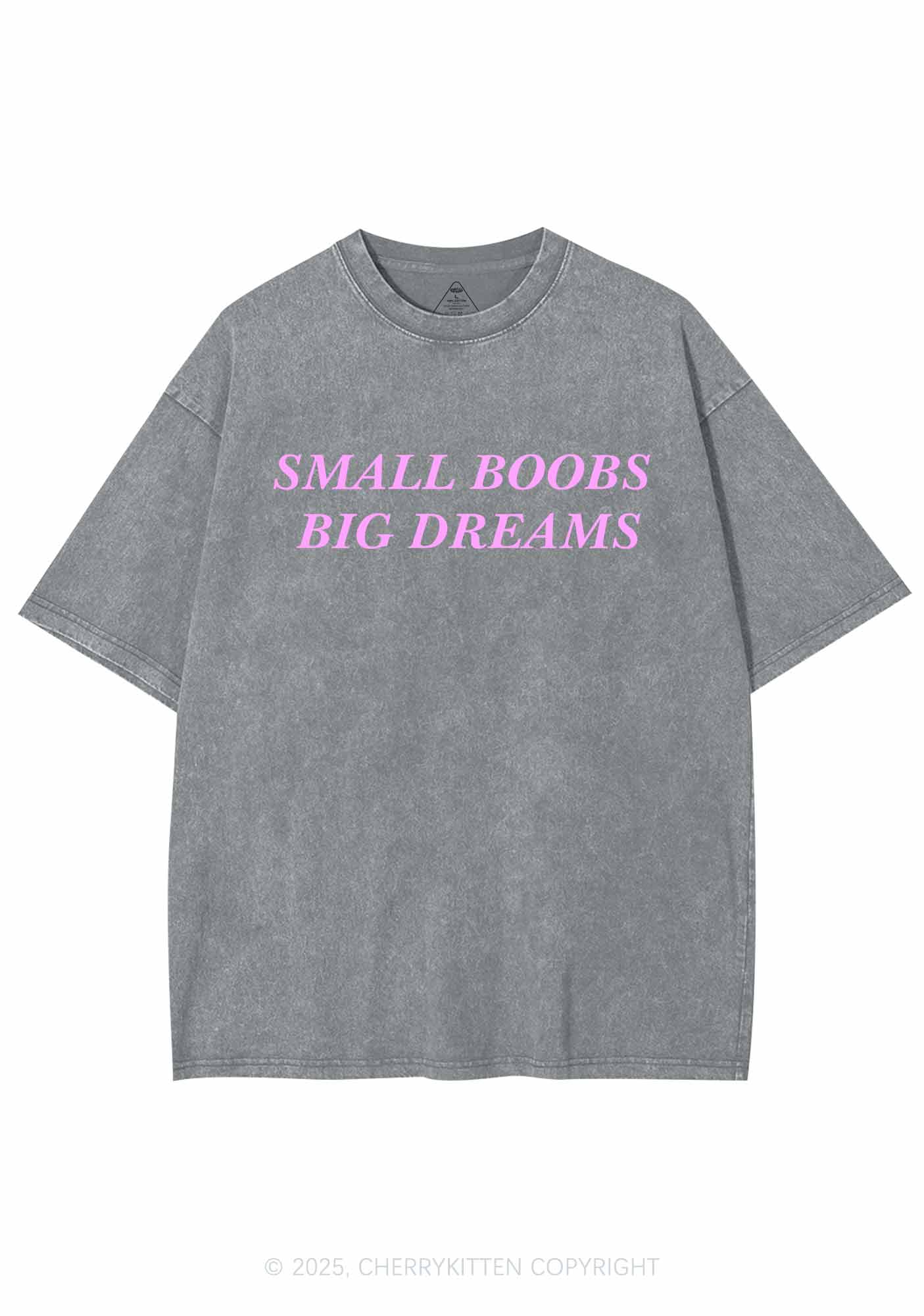Small But Big Dreams Y2K Shirts Washed Tee Cherrykitten