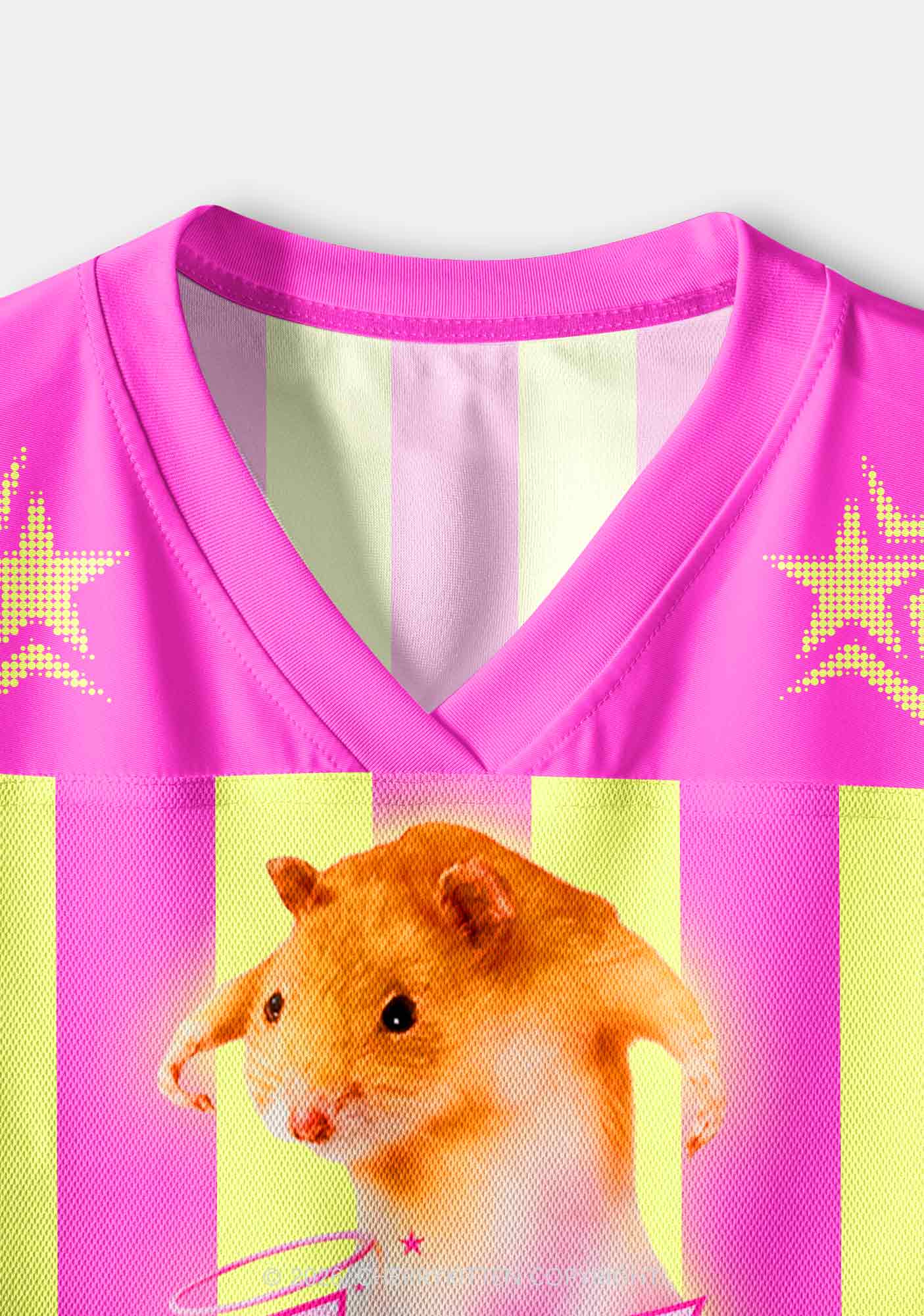Lez Pink Ratz Pride Y2K Crop Sport Jersey Shirts Cherrykitten