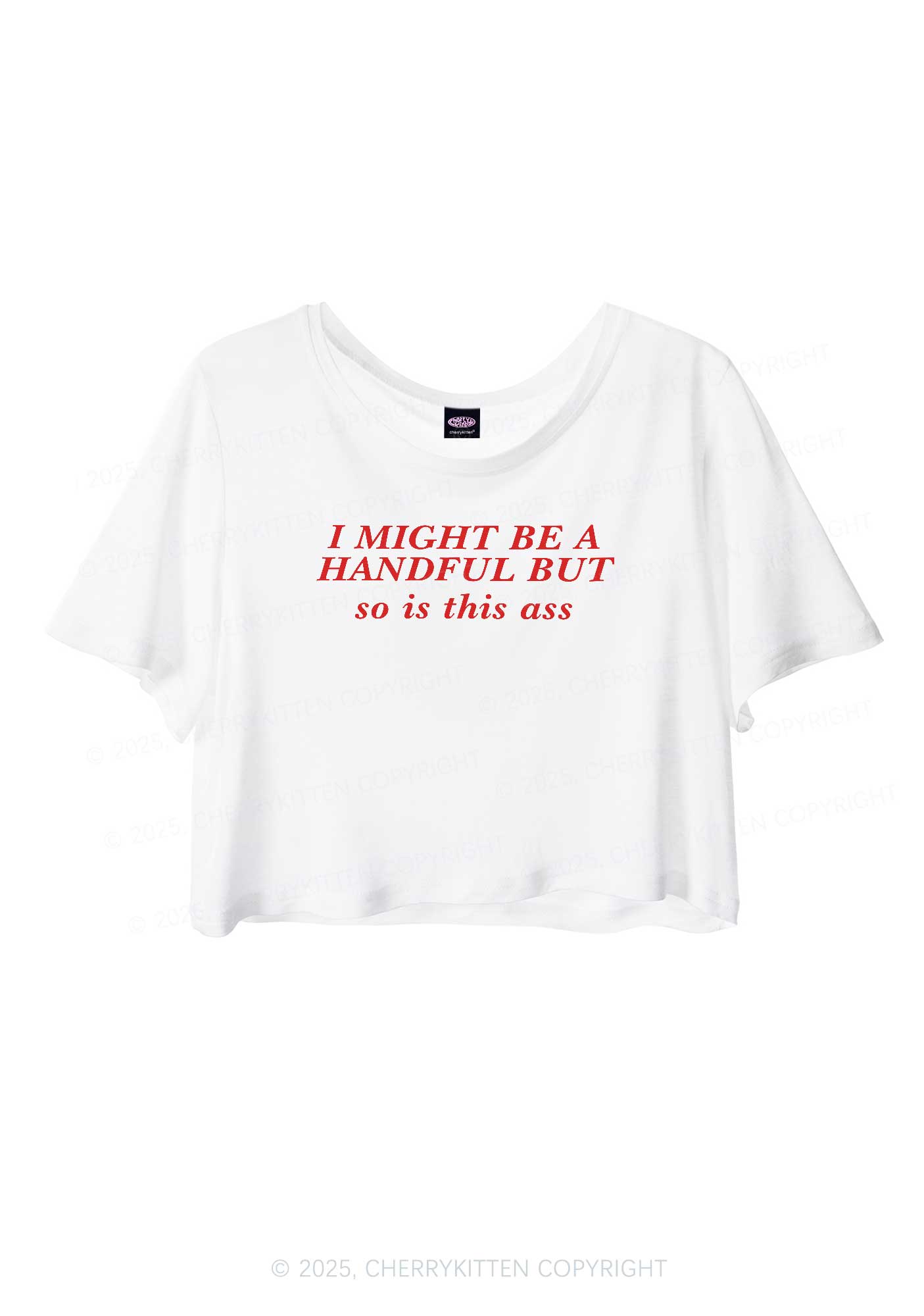 I Might Be Handful Y2K Sheer Crop Tee Cherrykitten