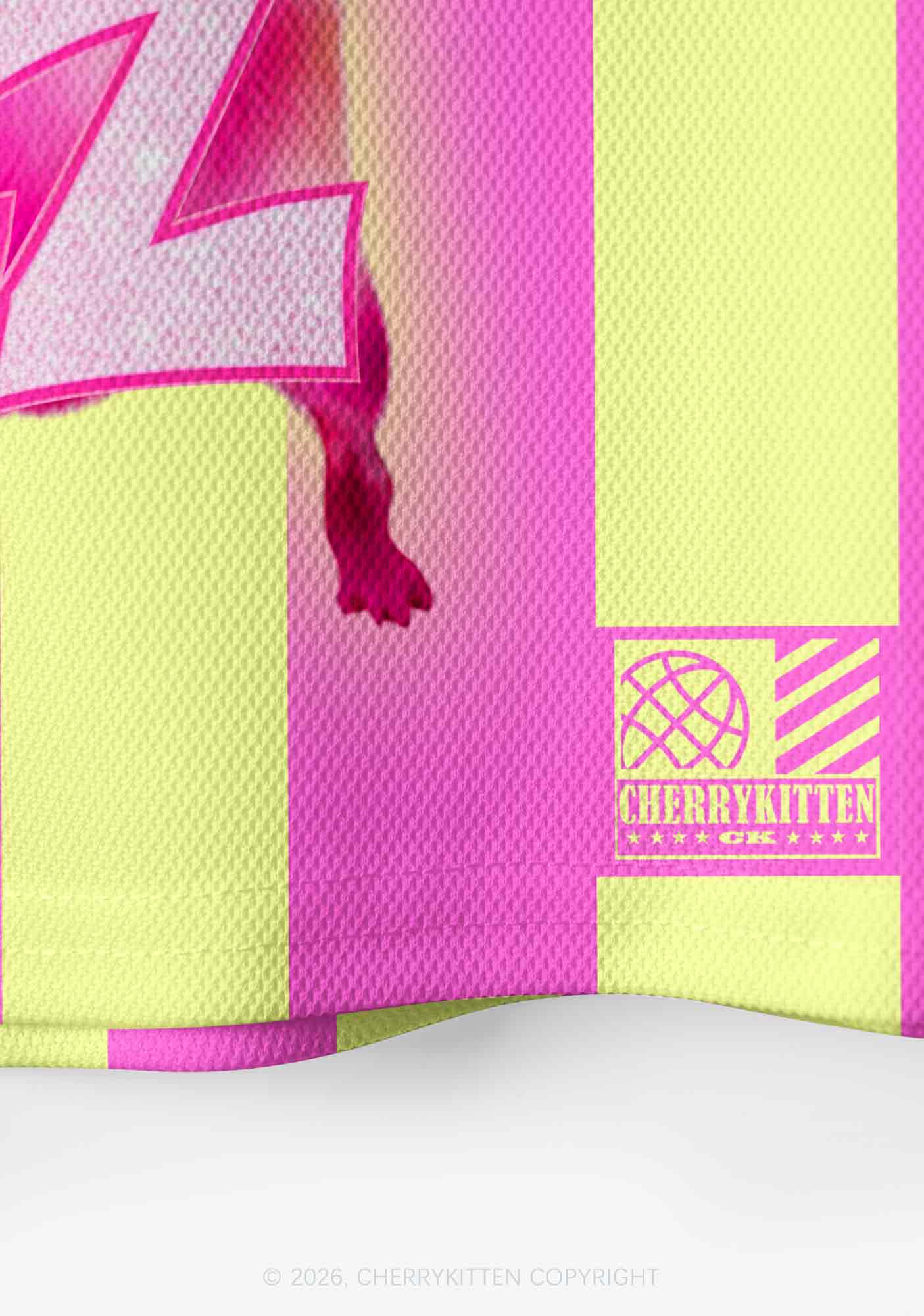 Lez Pink Ratz Pride Y2K Crop Sport Jersey Shirts Cherrykitten