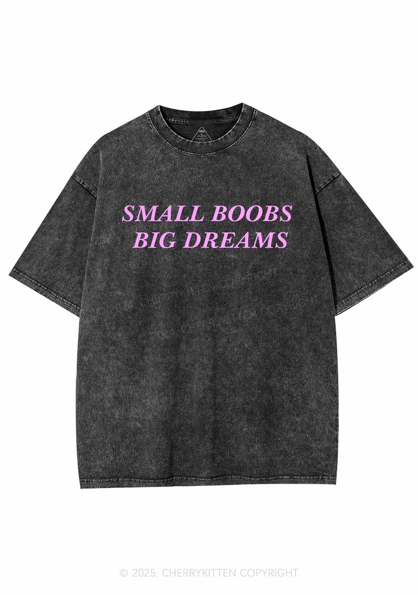 Small But Big Dreams Y2K Shirts Washed Tee Cherrykitten