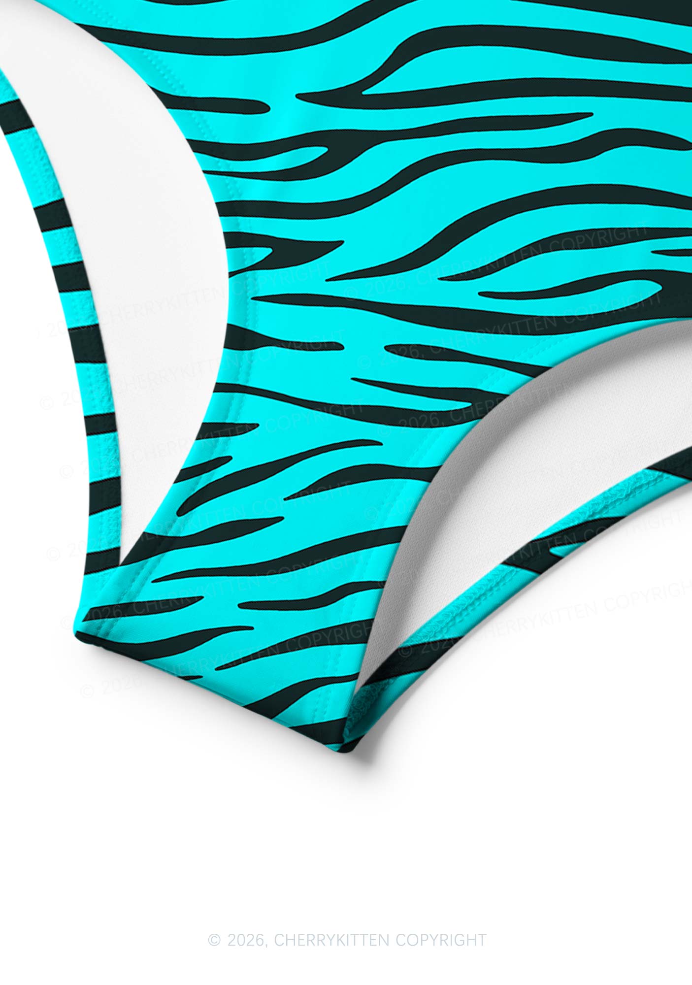 Bright Cyan Zebra Stripes Y2K Print Bikini Set Cherrykitten