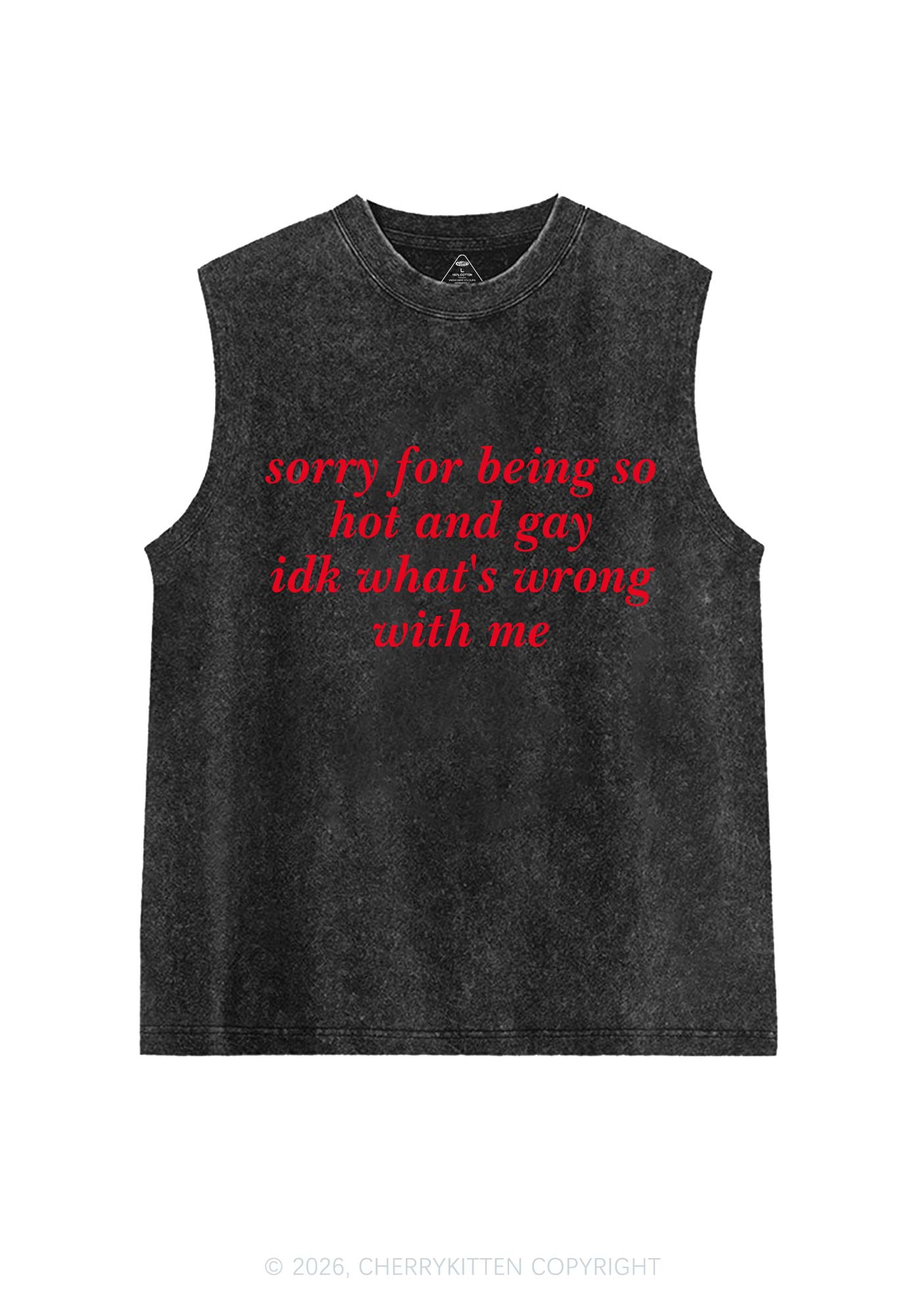Sorry For Being Gay Pride Y2K Washed Muscle Tank Cherrykitten