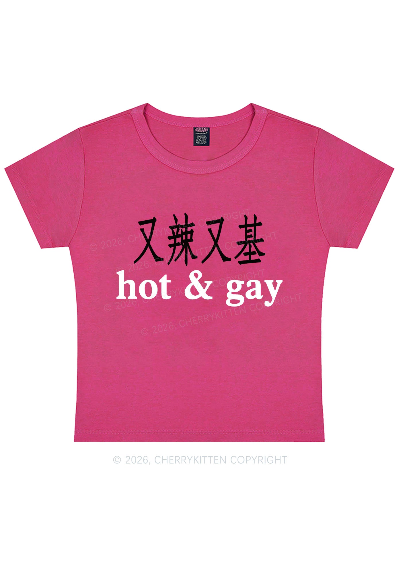 Hot Gay Pride Y2K Baby Tee Cherrykitten