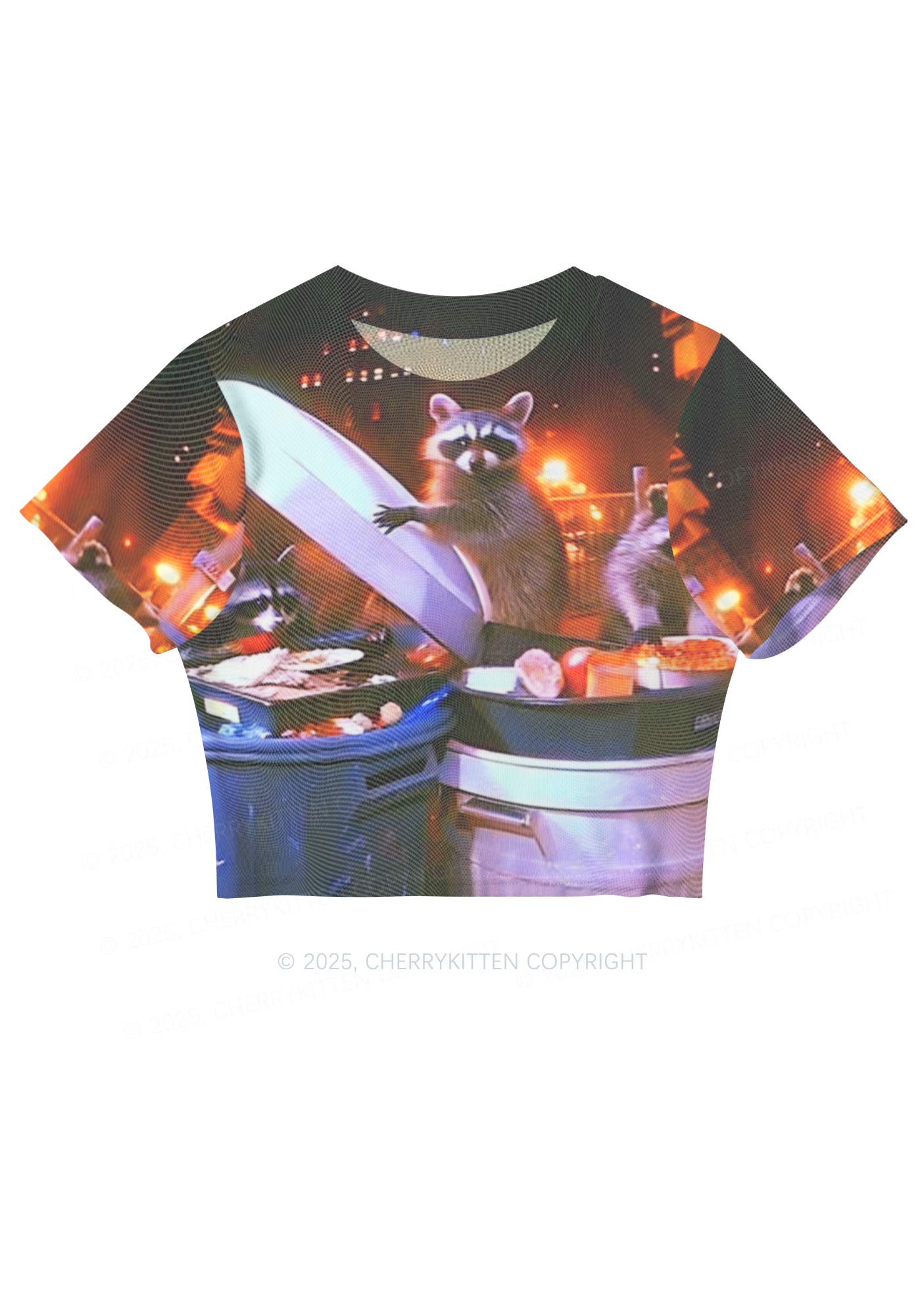 Raccoon Trash Party Y2K Mesh Crop Top Cherrykitten