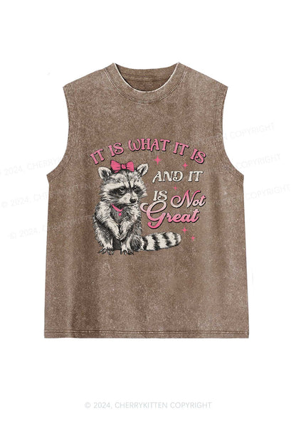 Not Great Raccoon Y2K Washed Tank Cherrykitten