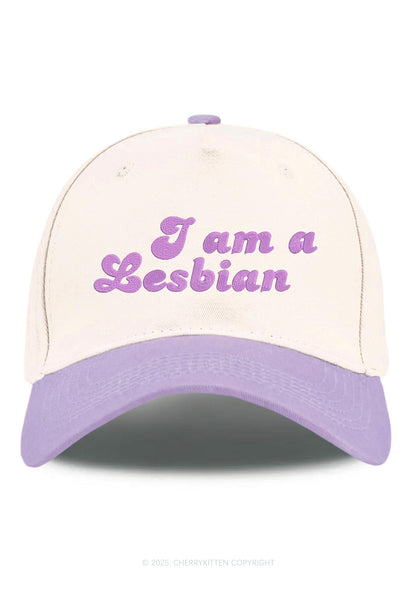 Embroidered Im Lesbian Pride Y2K Color Block Baseball Cap Cherrykitten
