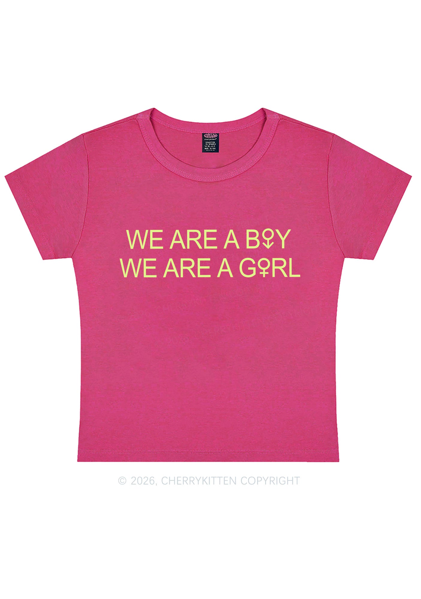 We Are A Boy Pride Y2K Baby Tee Cherrykitten