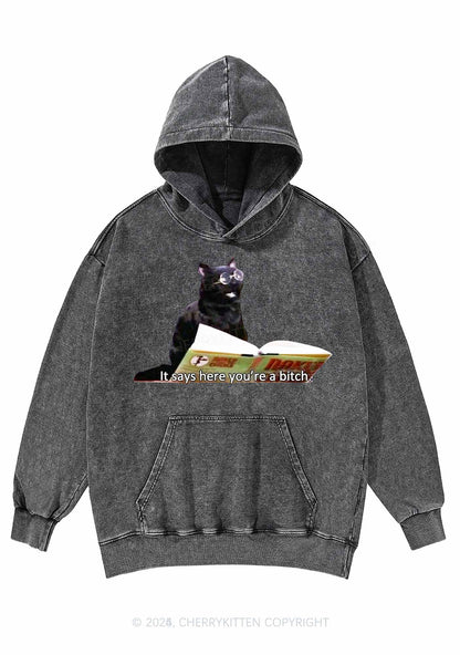 It Says Here Youre A Bixxh Y2K Washed Hoodie Cherrykitten