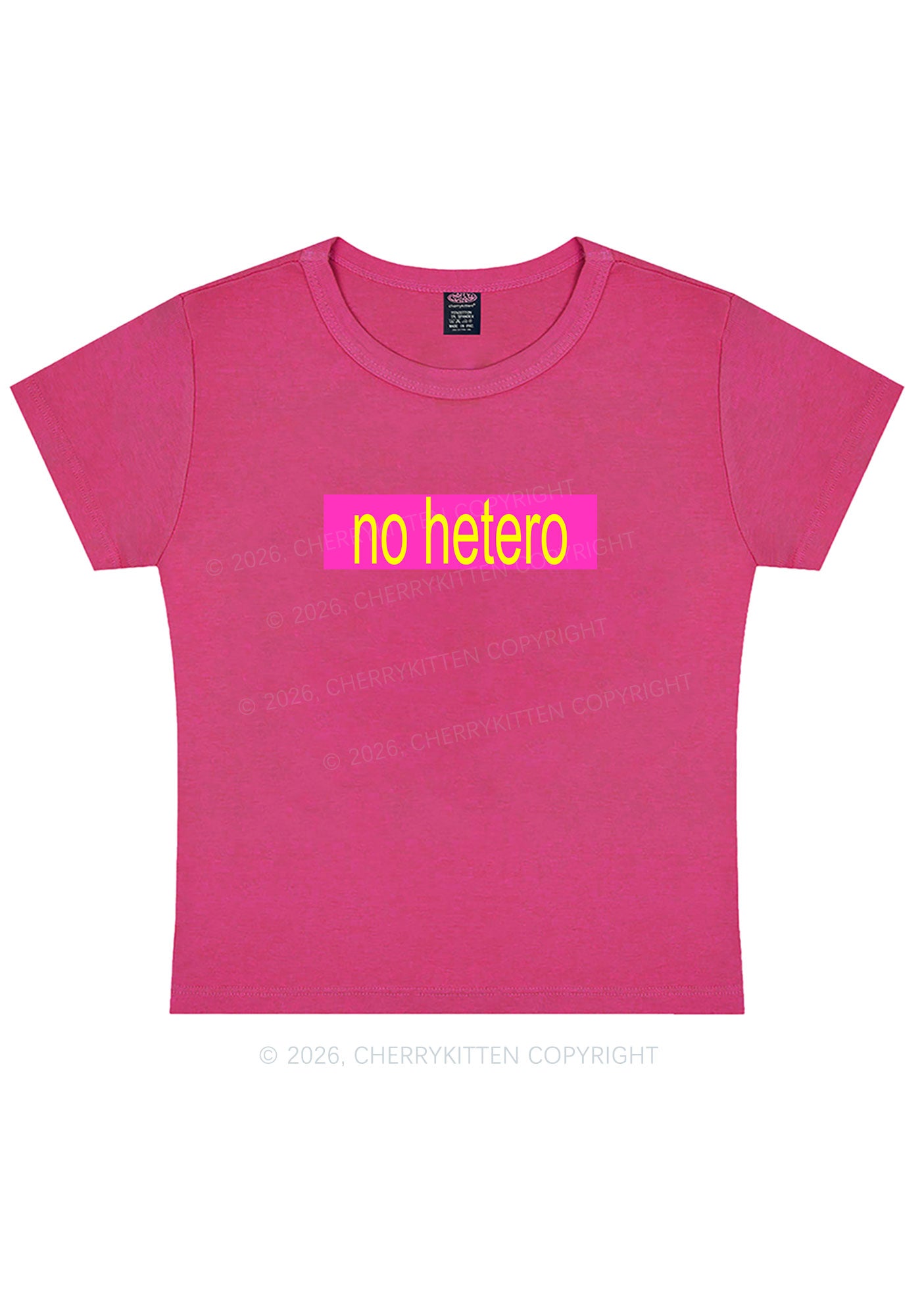 No Hetero Pride Y2K Baby Tee Cherrykitten