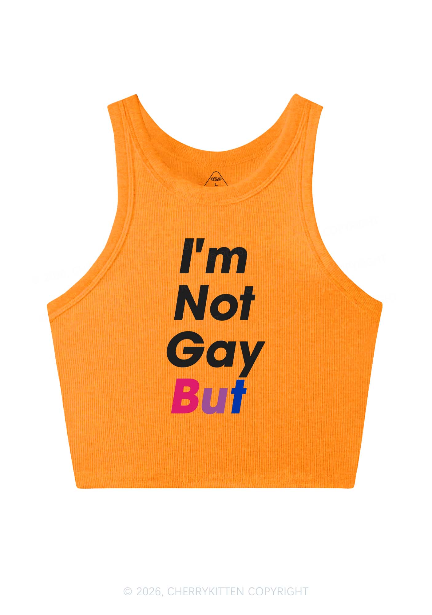 Im Not Gay But Pride Y2K Crop Tank Top Cherrykitten
