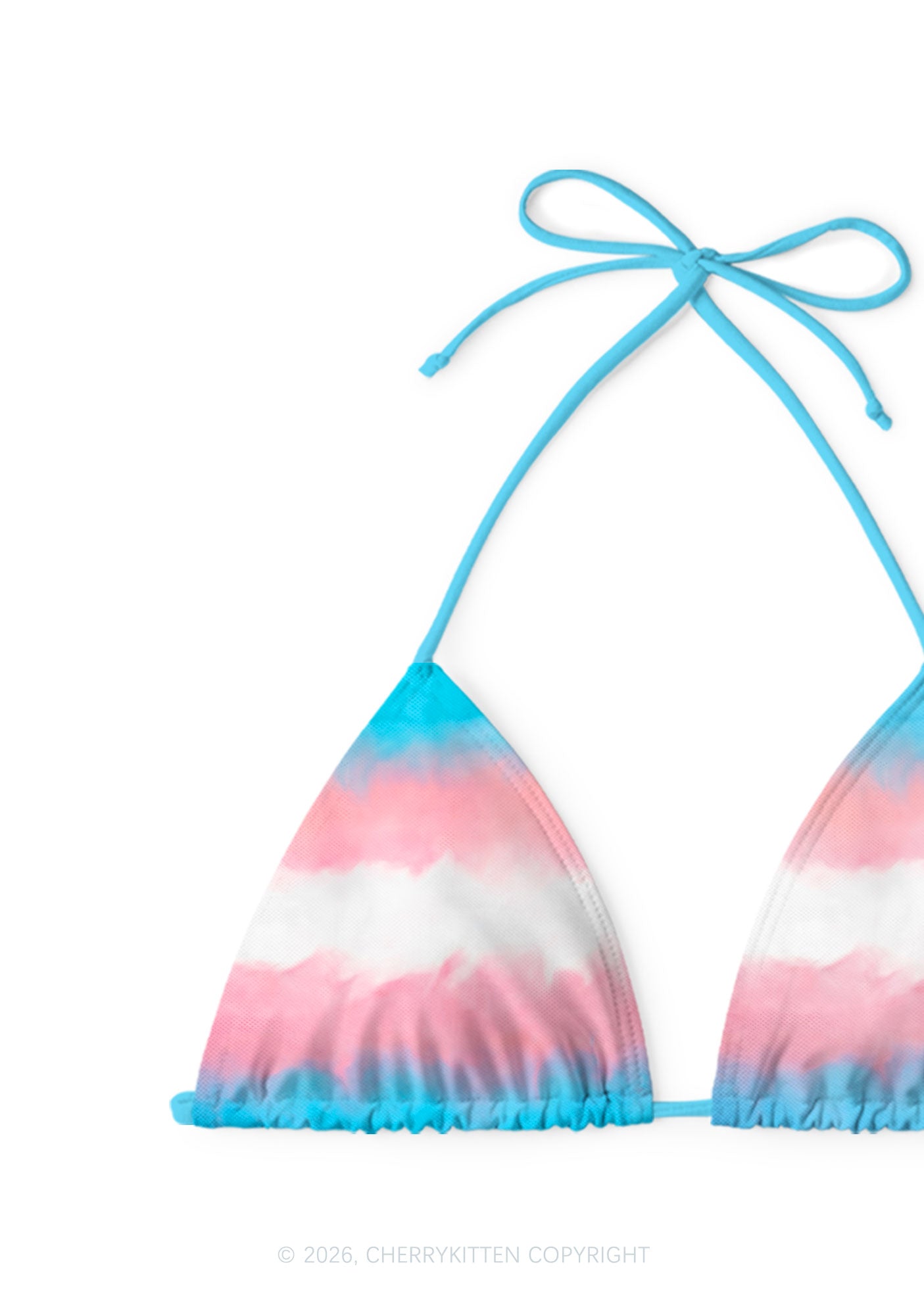 Transgender Flag Pride Y2K Print Bikini Set Cherrykitten