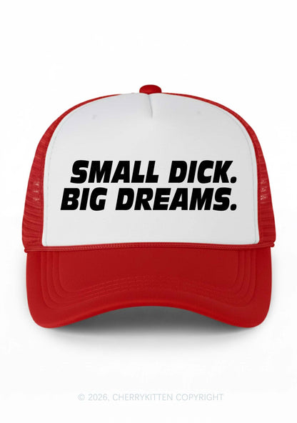 Small Dxxk Big Dreams Y2K Colorblock Trucker Hat Cherrykitten