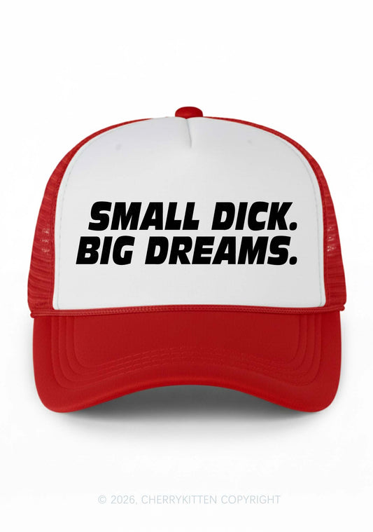 Small Dxxk Big Dreams Y2K Colorblock Trucker Hat Cherrykitten