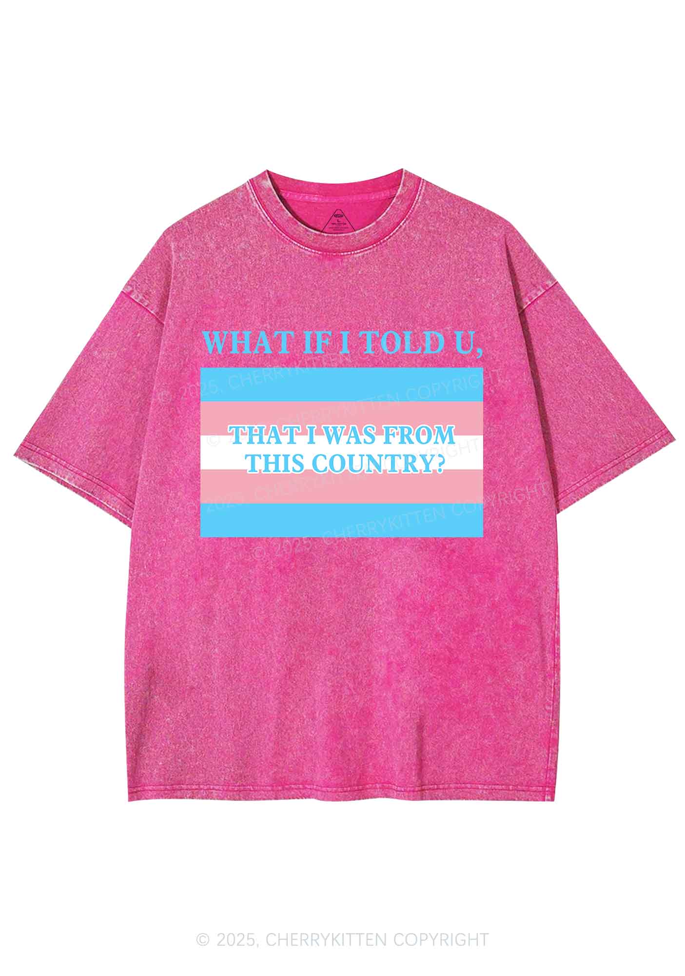 I Was From This Country Y2K Shirts Washed Tee Cherrykitten