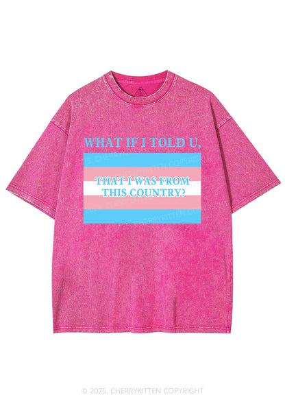 I Was From This Country Y2K Shirts Washed Tee Cherrykitten