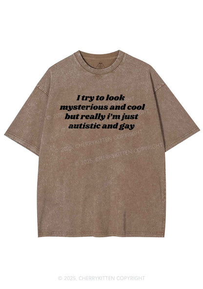 Im Just Autistic And Gay Pride Y2K Shirts Washed Tee Cherrykitten