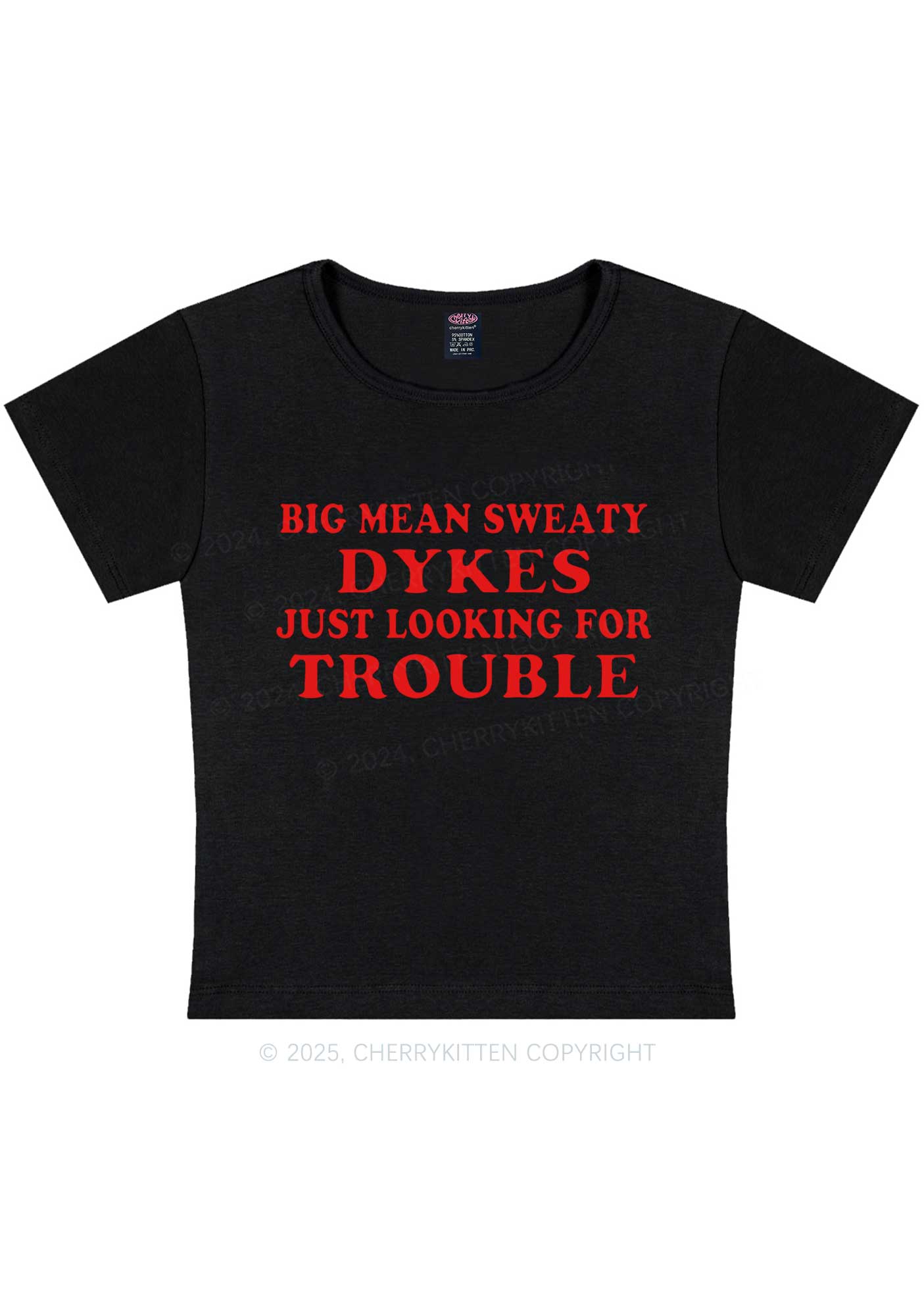 Dykes Trouble Y2K Baby Tee Cherrykitten