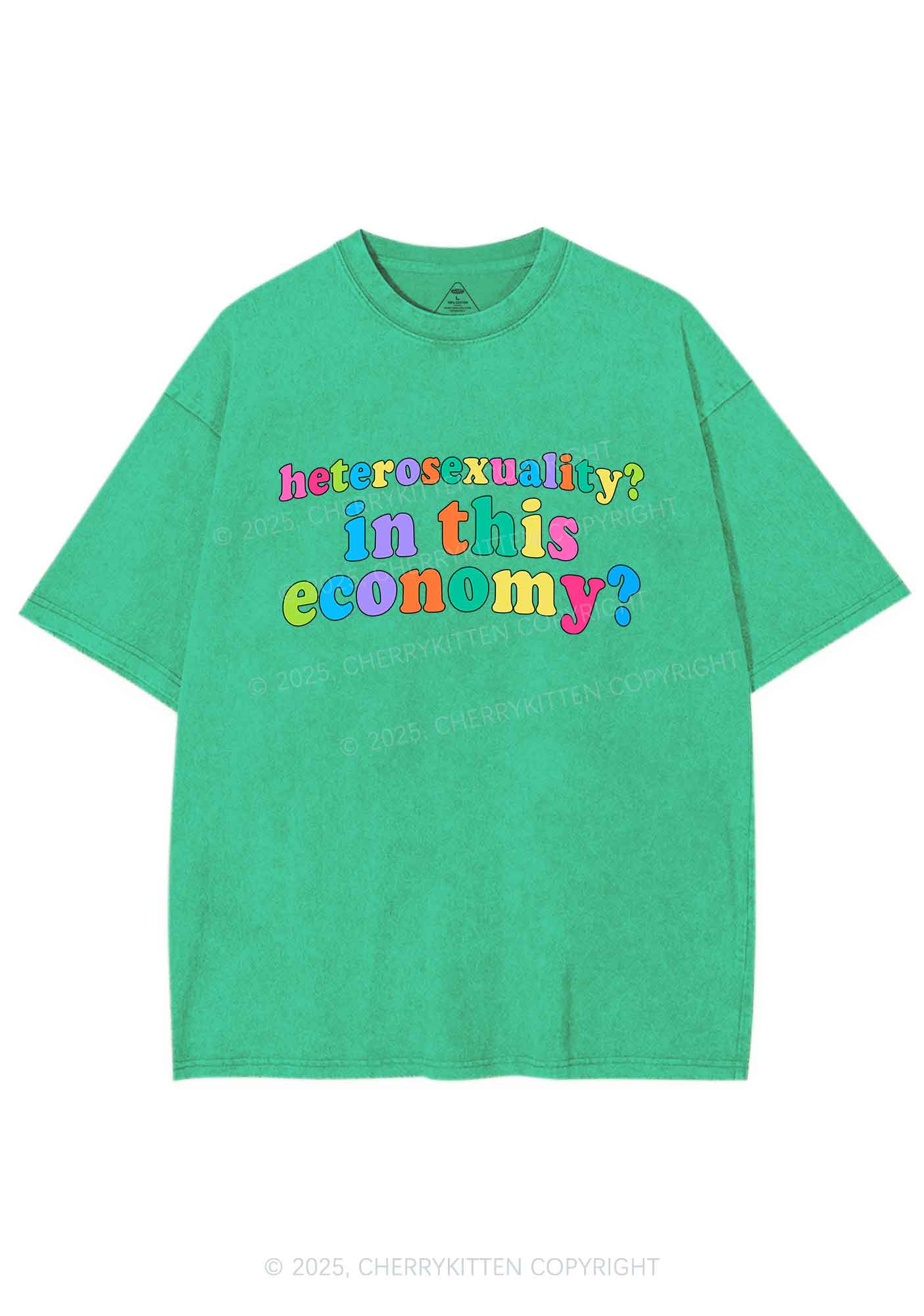 Heterosexuality In This Economy Pride Y2K Shirts Washed Tee Cherrykitten