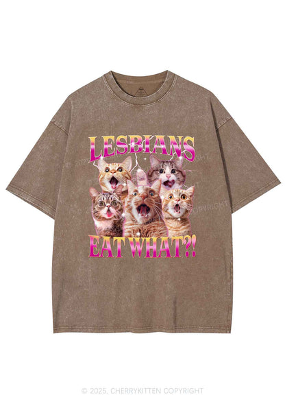 Funny Lesbian Cat Y2K Shirts Washed Tee Cherrykitten