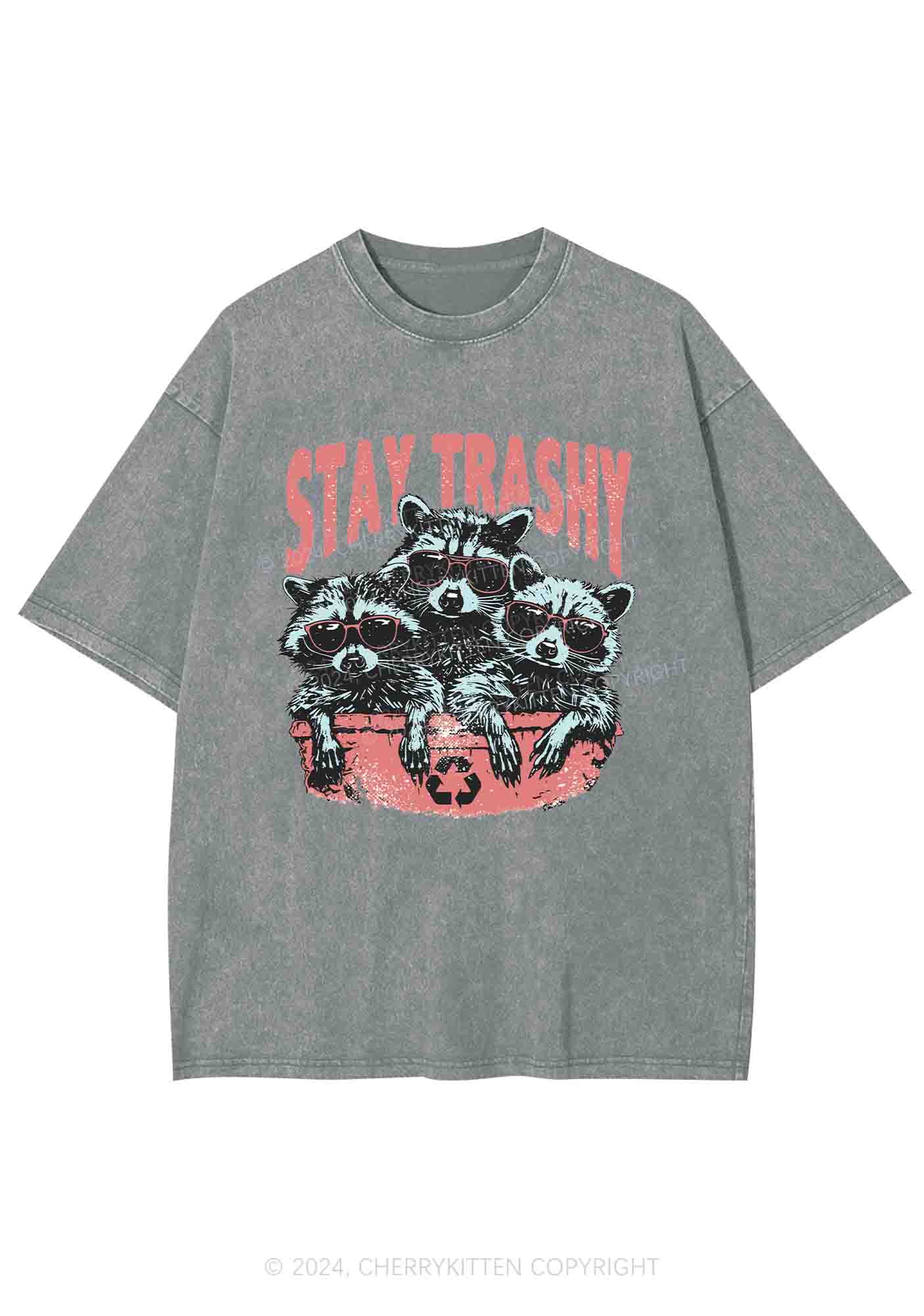 Stay Trashy Raccoons Y2K Washed Tee Cherrykitten