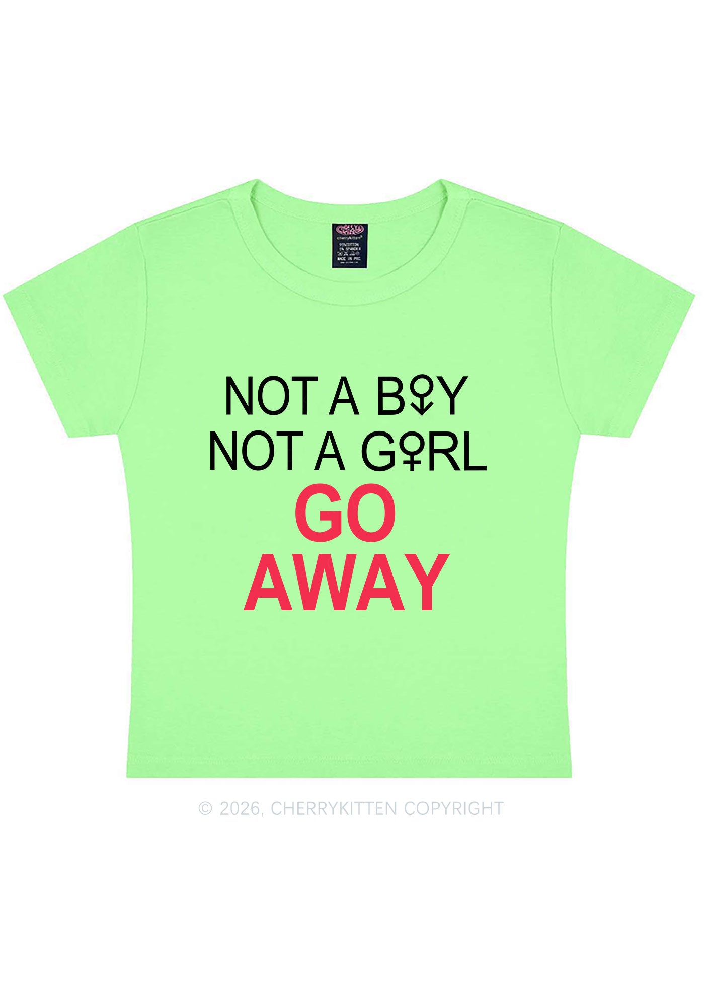 Go Away Pride Y2K Baby Tee Cherrykitten