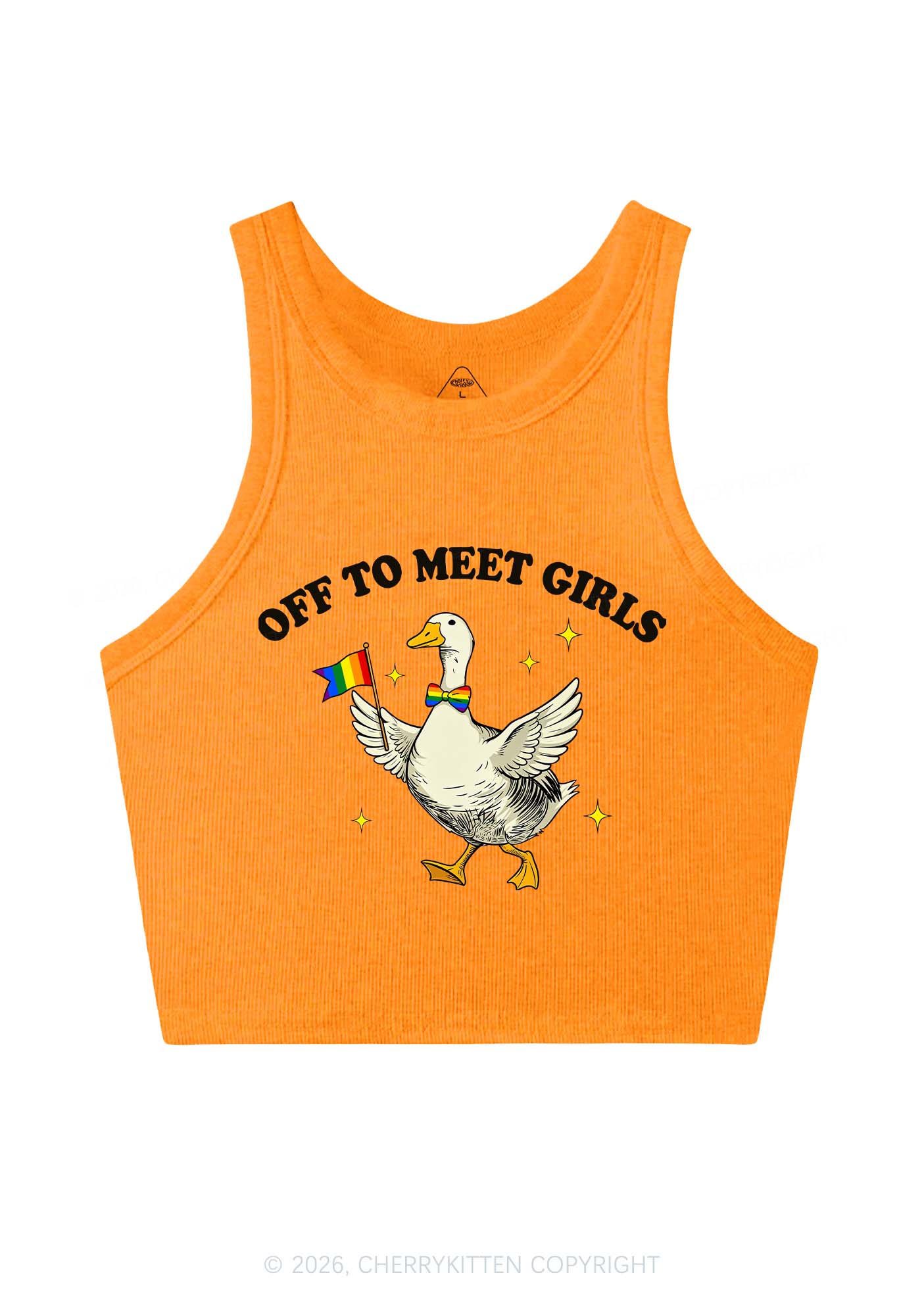 Off To Meet Girls Pride Y2K Crop Tank Top Cherrykitten