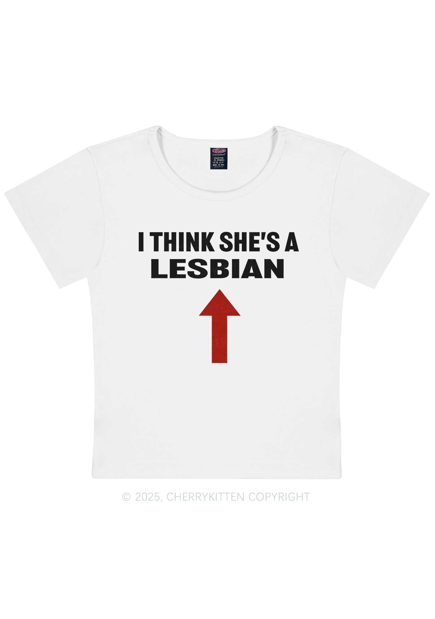 I Think She's A Lesbian Y2K Baby Tee Cherrykitten