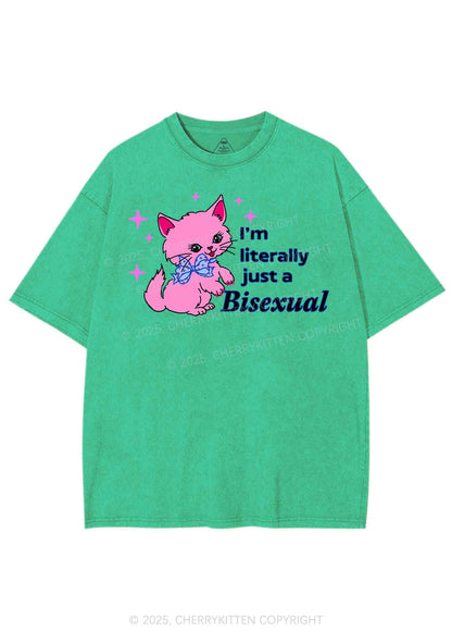 Literally Just A Bisexual Pride Y2K Shirts Washed Tee Cherrykitten