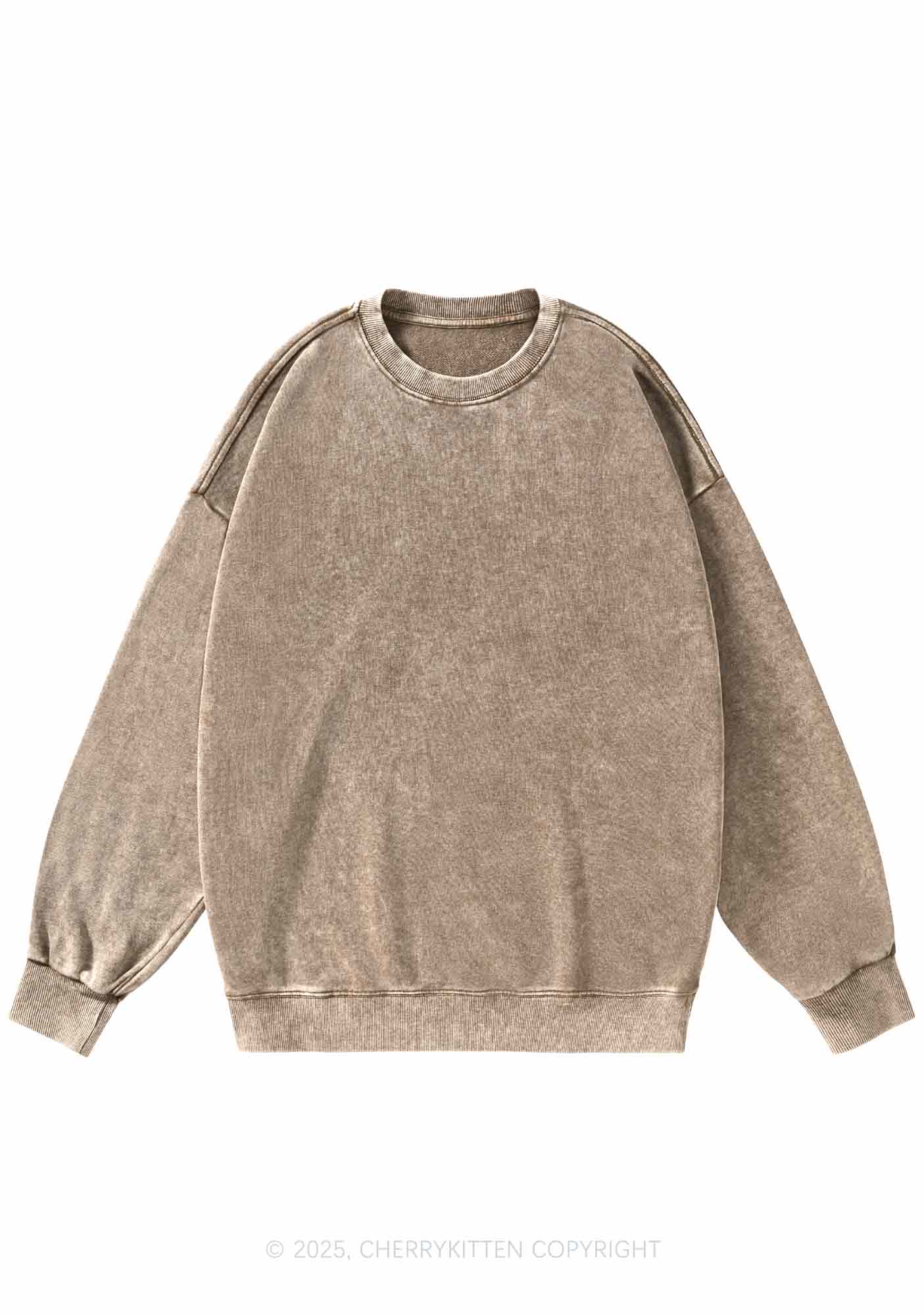 Plain Y2K Washed Sweatshirts Cherrykitten