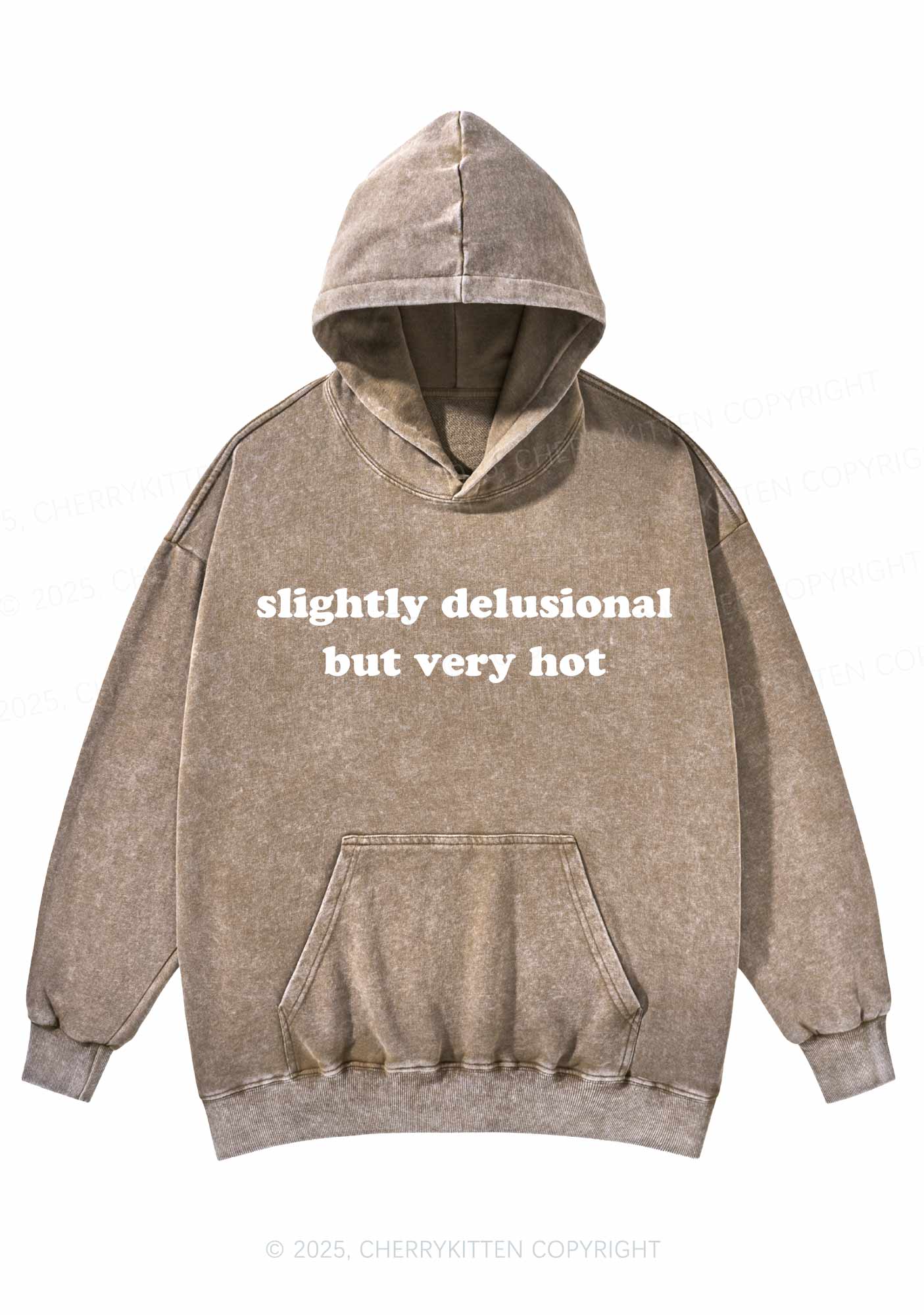 Slightly Delusional But Very Hot Y2K Washed Hoodie Cherrykitten