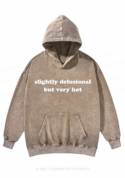 Slightly Delusional But Very Hot Y2K Washed Hoodie Cherrykitten
