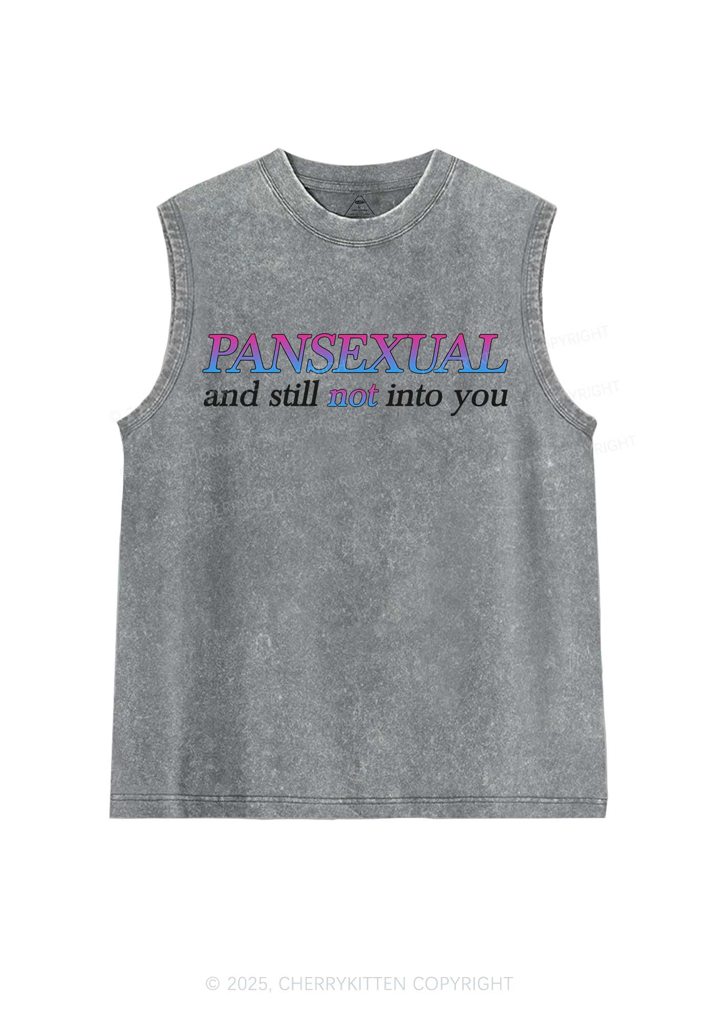 Pansexual Still Not Into You Pride Y2K Washed Muscle Tank Cherrykitten