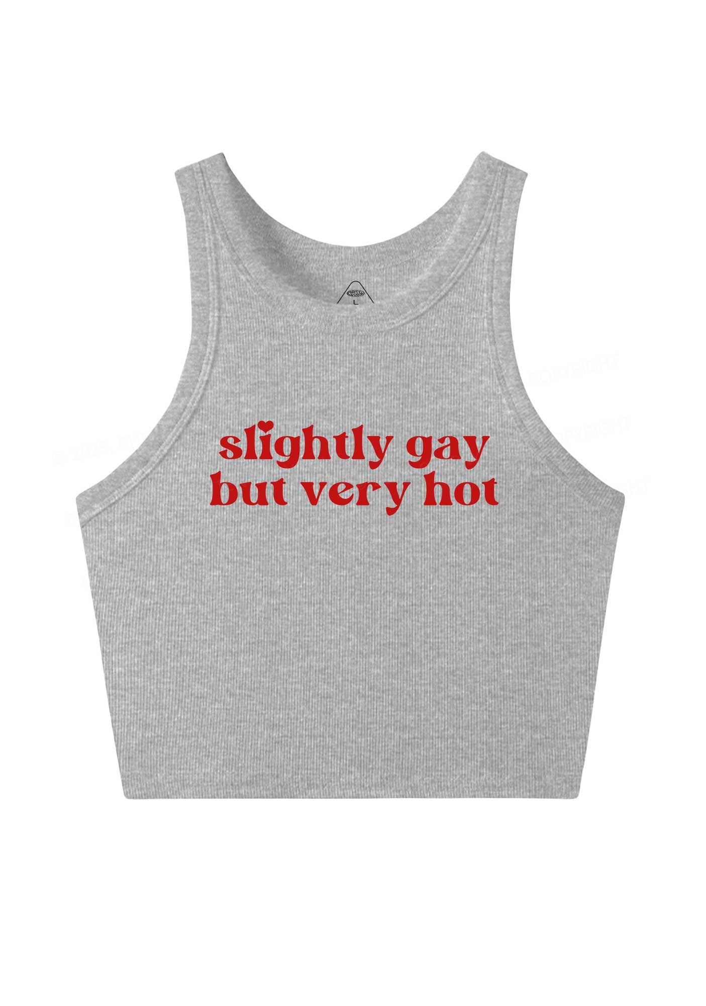 Slightly Gay But Very Hot Pride Y2K Crop Tank Top Cherrykitten