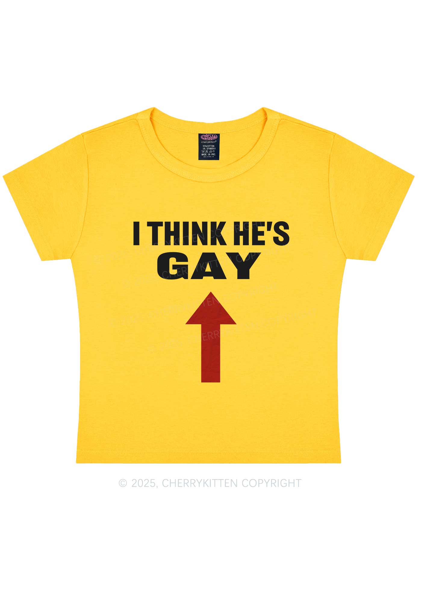 He Is Gay Y2K Baby Tee Cherrykitten