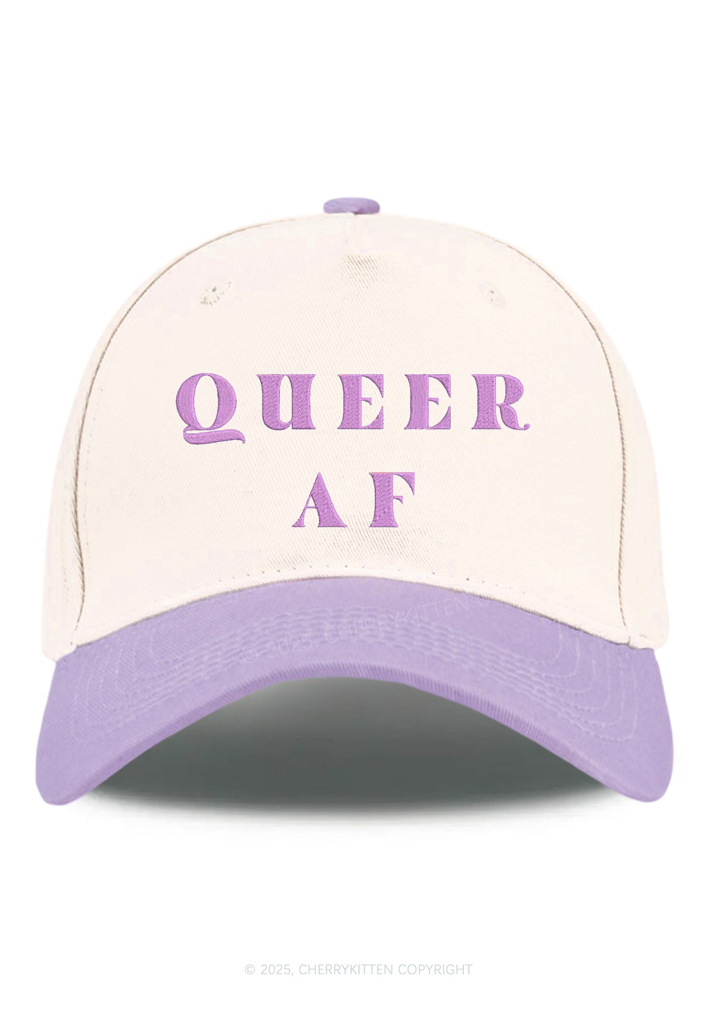 Embroidered Queer AF Pride Y2K Color Block Baseball Cap Cherrykitten