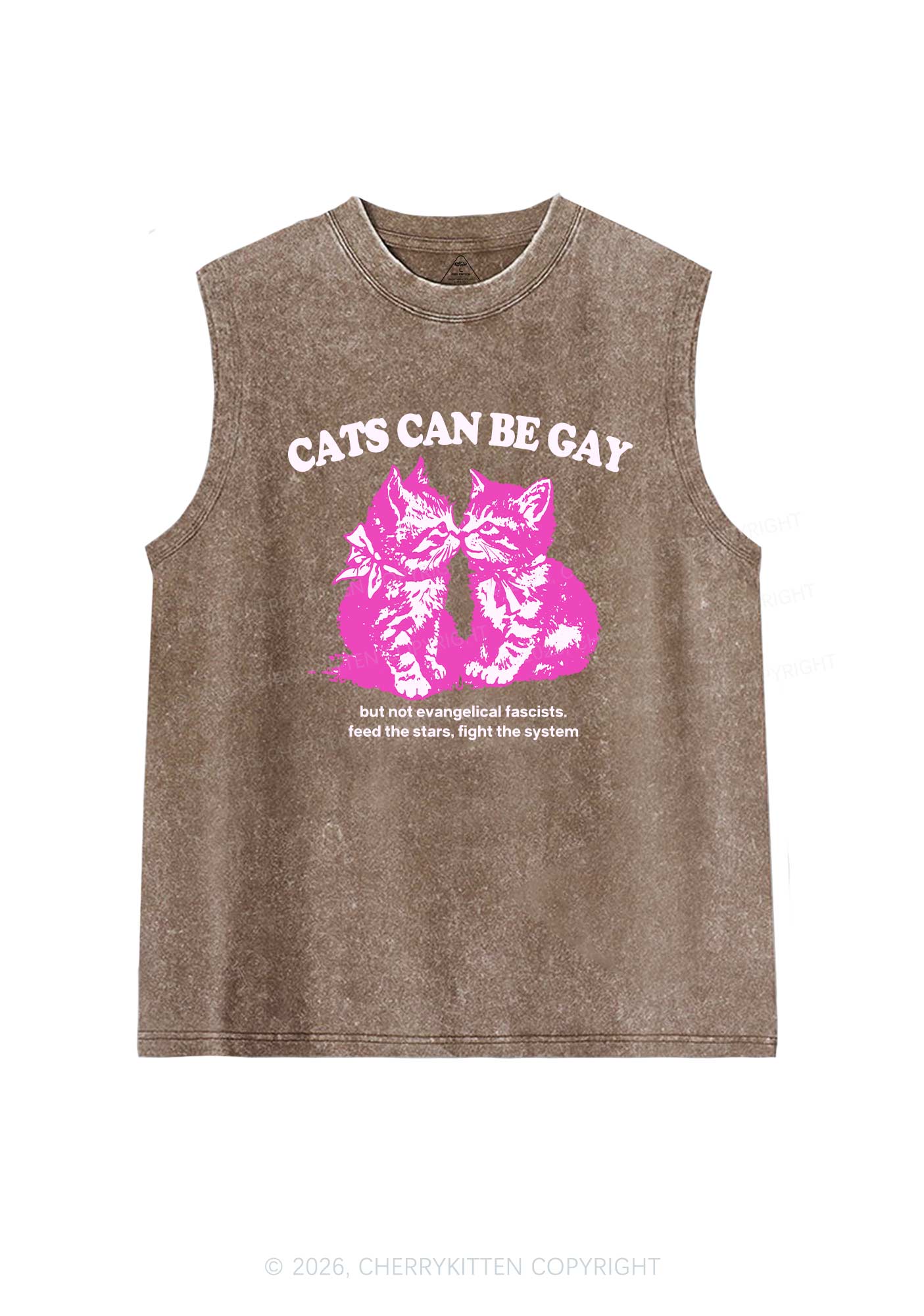 Cat Can Be Gay Pride Y2K Washed Muscle Tank Cherrykitten