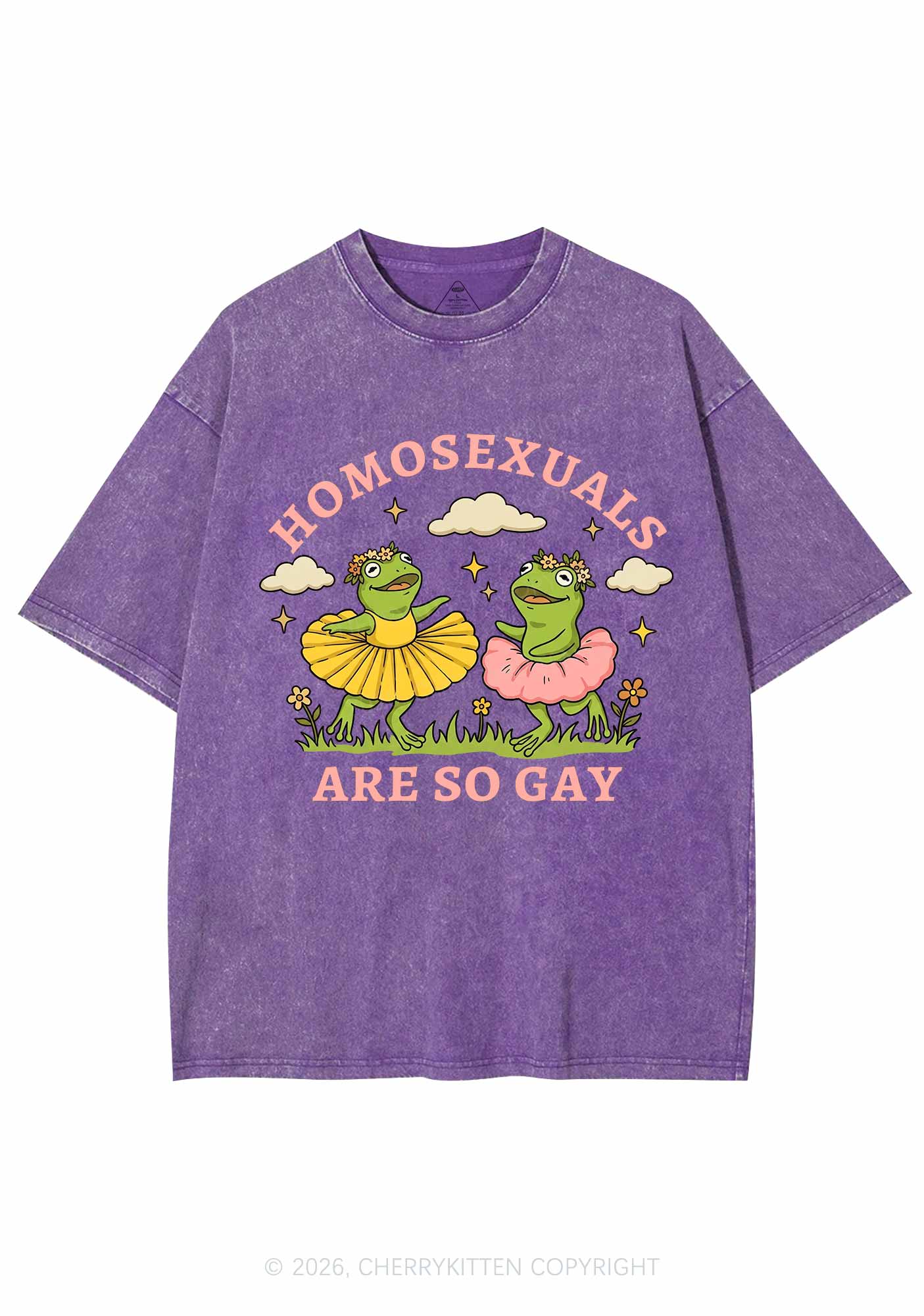 Homosexuals Are So Gay Pride Y2K Shirts Washed Tee Cherrykitten