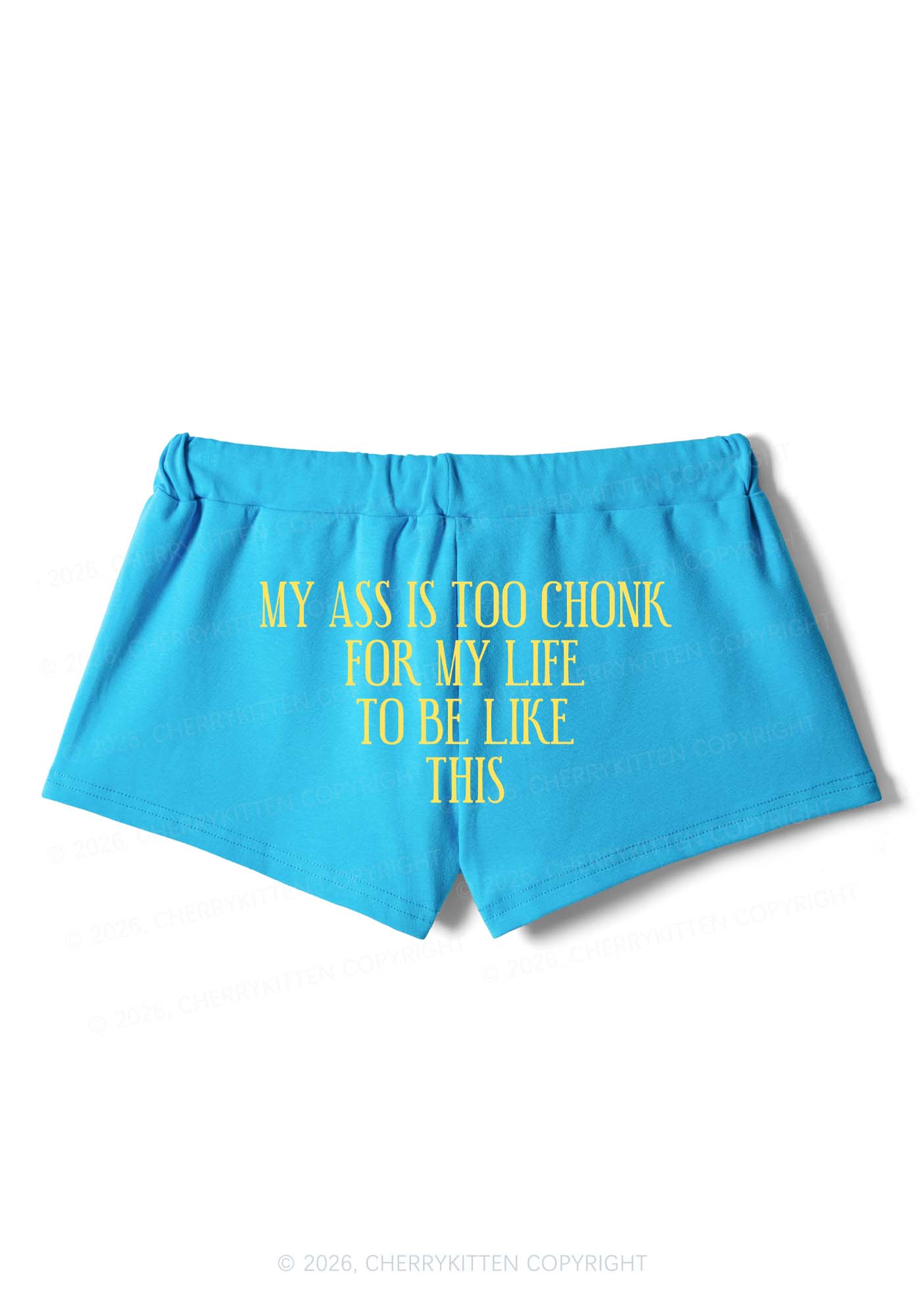 My Axx Is Too Chonk Y2K Drawstring Mini Shorts Cherrykitten