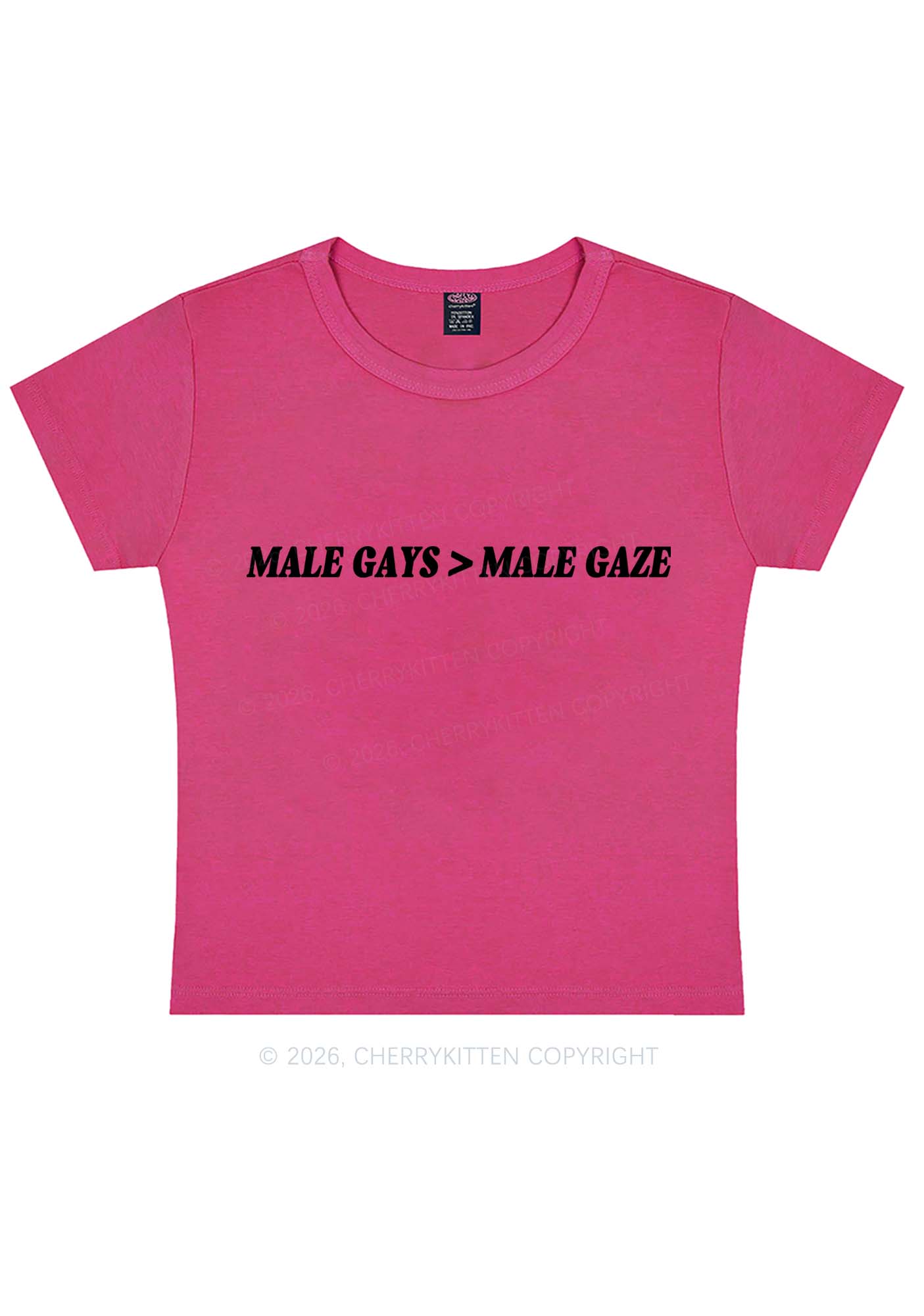 Male Gays Male Gaze Pride Y2K Baby Tee Cherrykitten