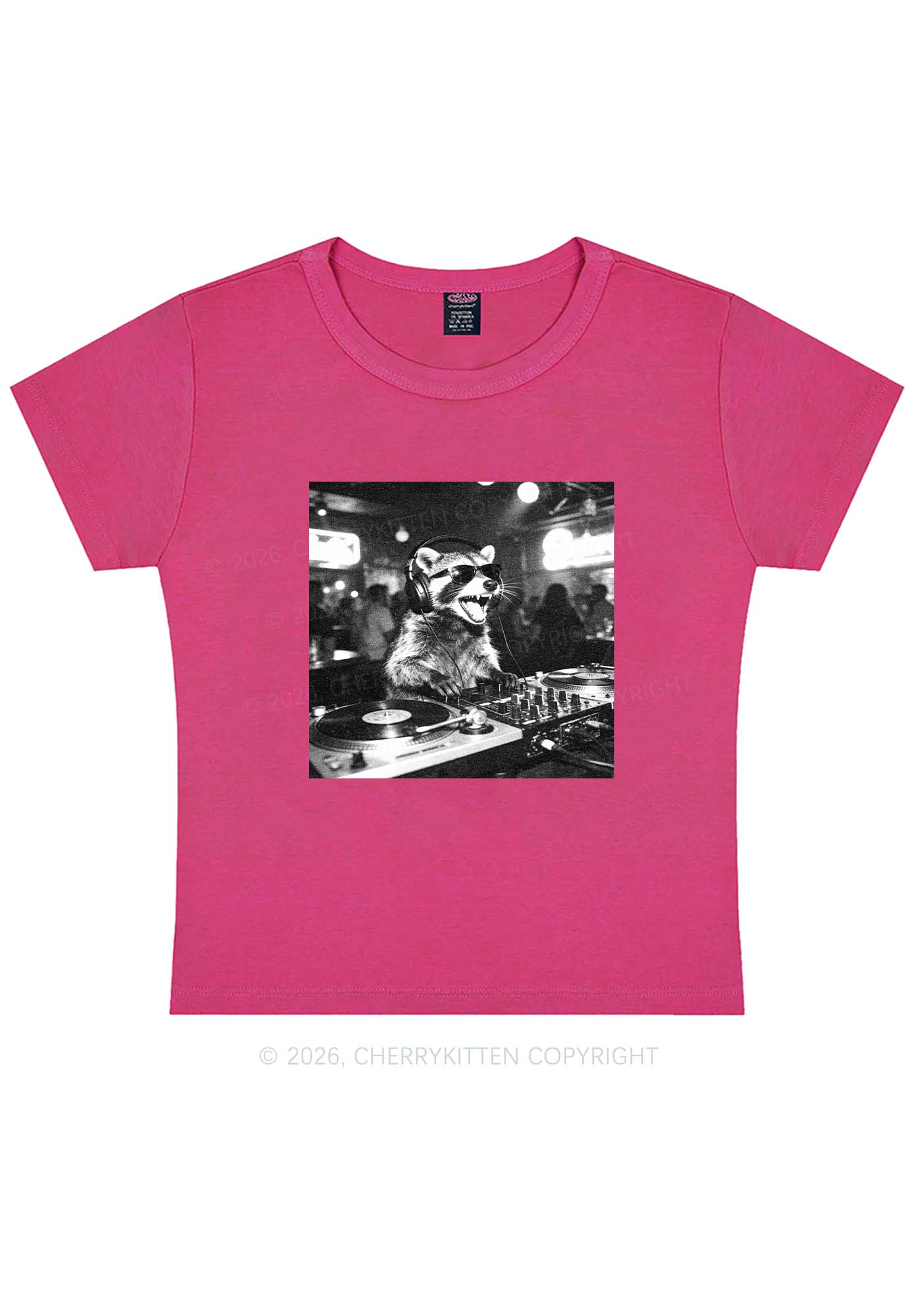 Vintage DJ Raccoon Y2K Baby Tee Cherrykitten