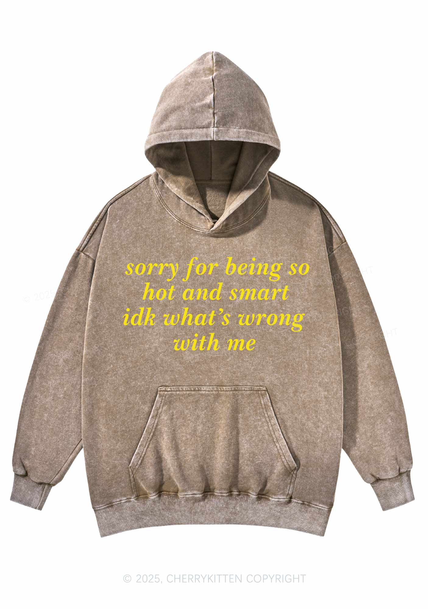 Sorry For Being So Smart Y2K Washed Hoodie Cherrykitten