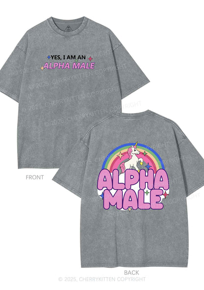 Alpha Male Two Sides Pride Y2K Shirts Washed Tee Cherrykitten