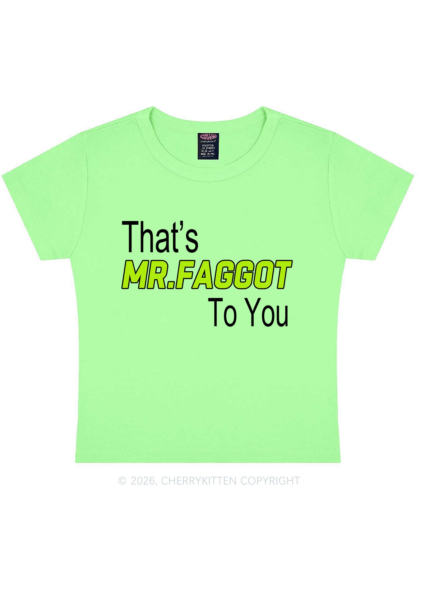 Thats Mr Faggot To You Pride Y2K Baby Tee Cherrykitten
