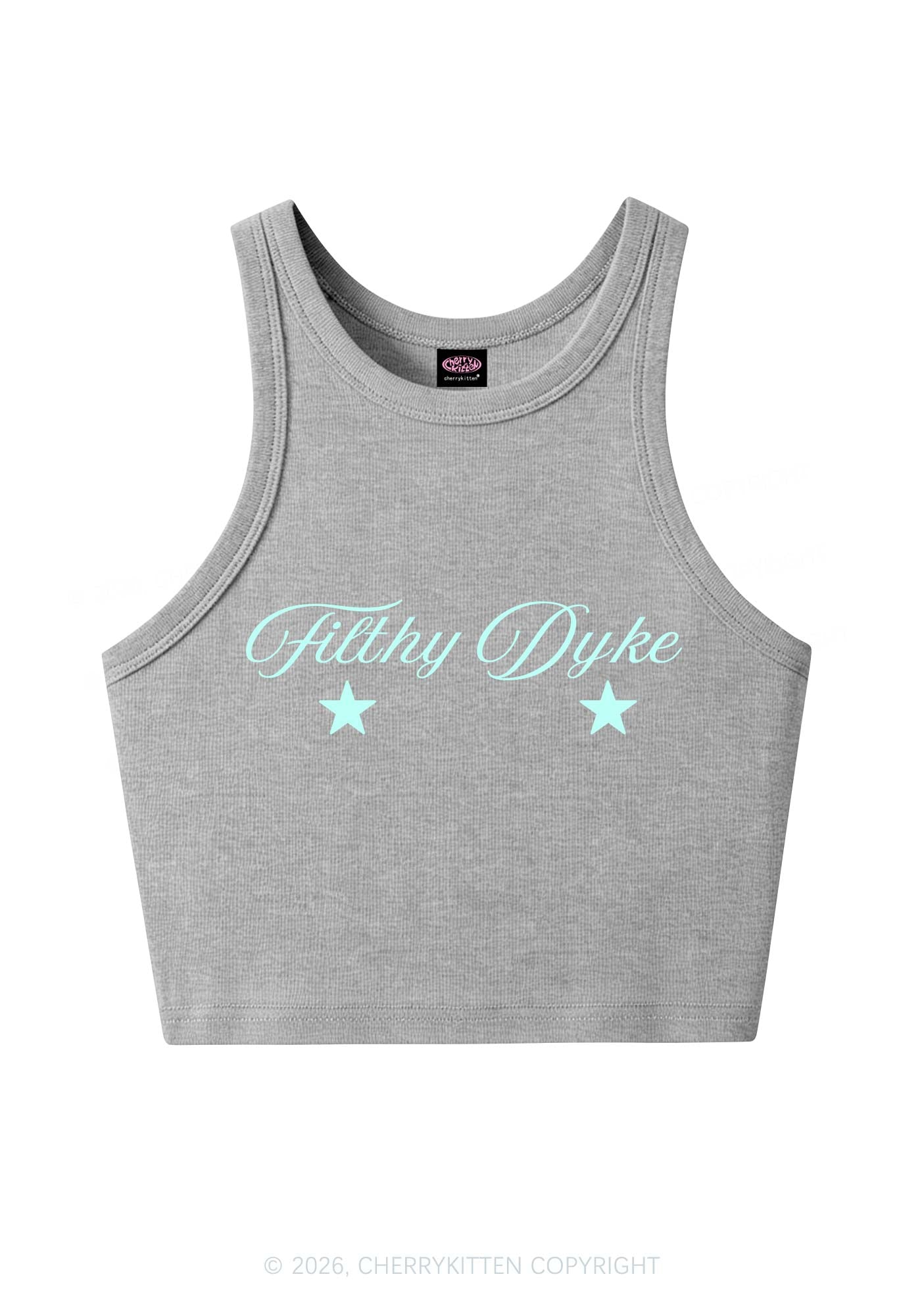 Filthy Dyke Pride Y2K Crop Tank Top Cherrykitten