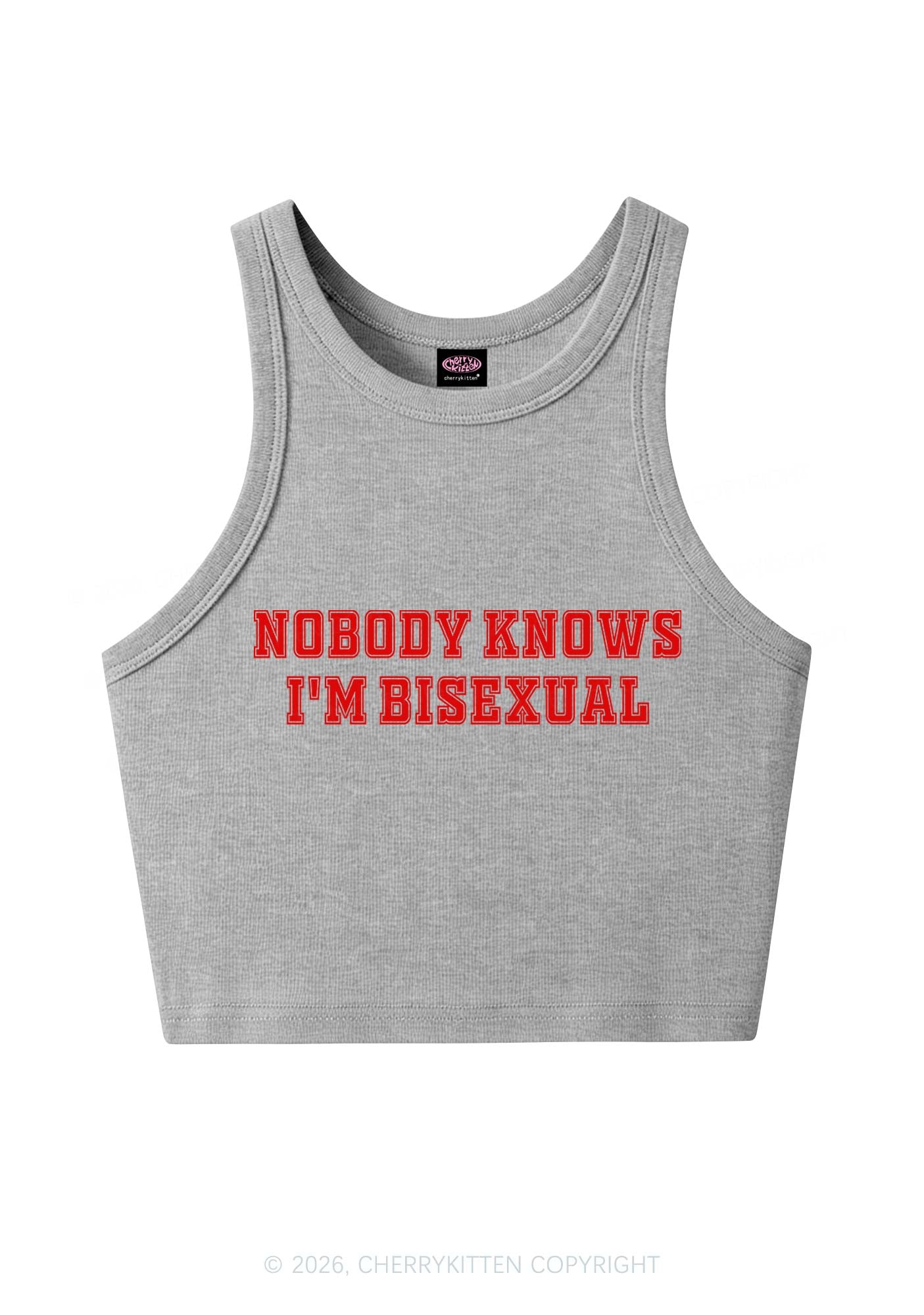 Nobody Knows Im Bisexual Pride Y2K Crop Tank Top Cherrykitten