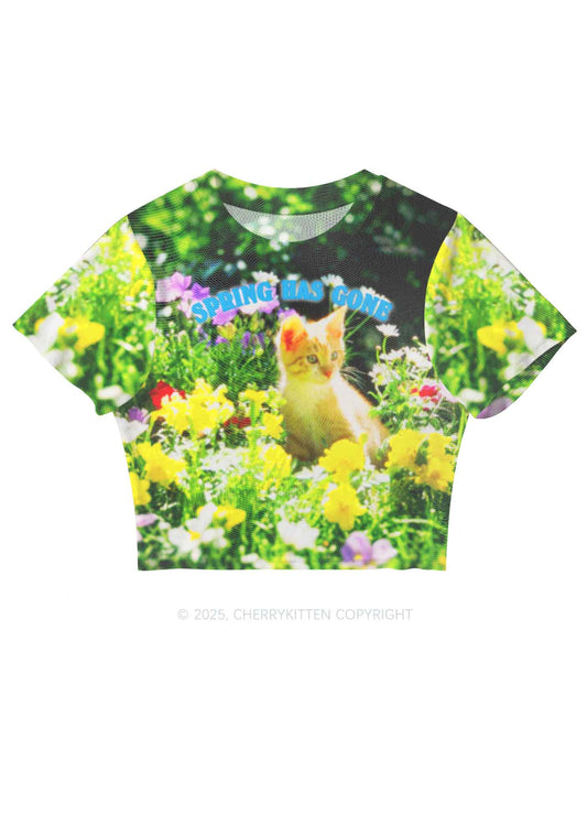 Spring Has Gone Y2K Mesh Crop Top Cherrykitten