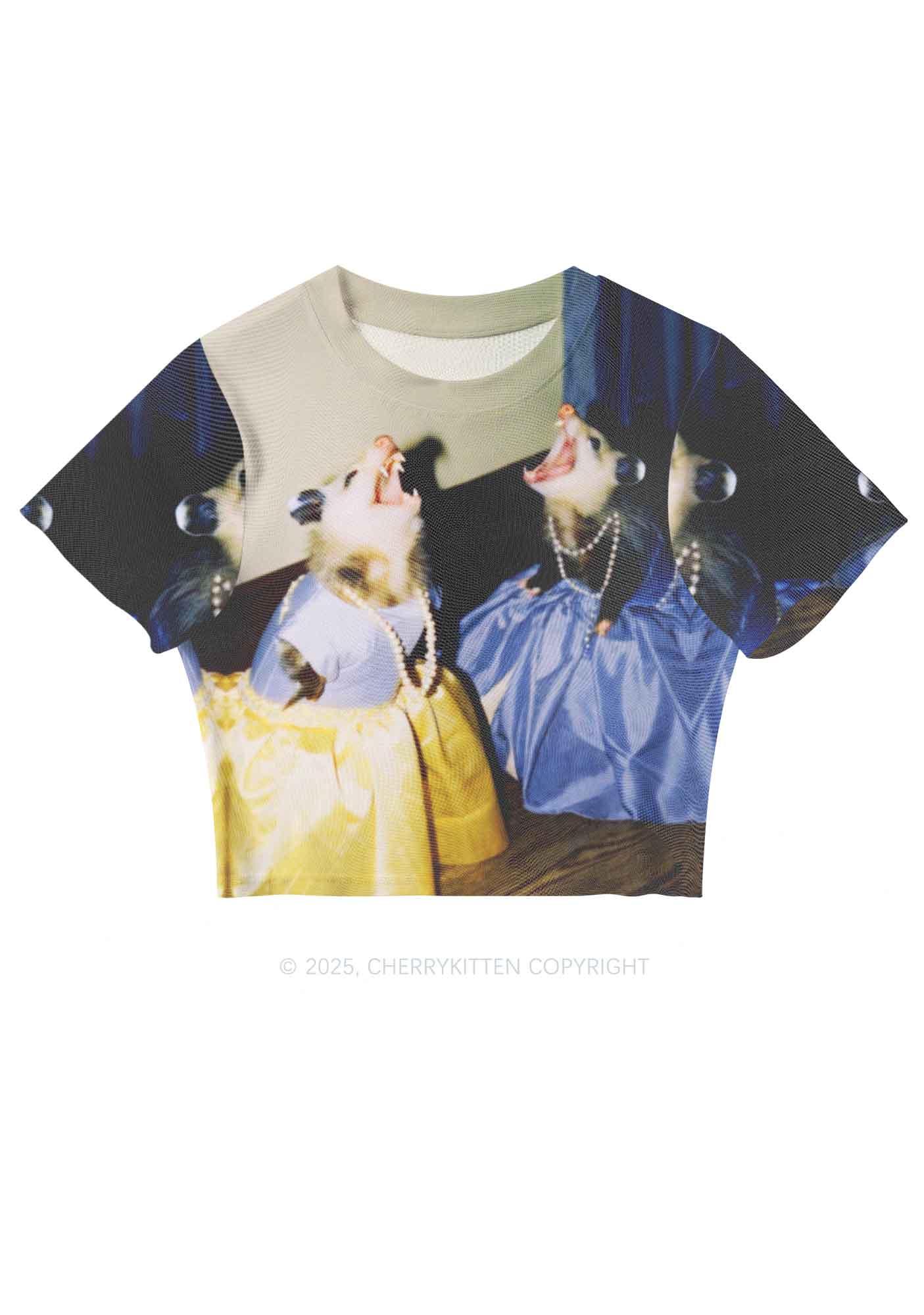 Princess Rats Y2K Mesh Crop Top Cherrykitten