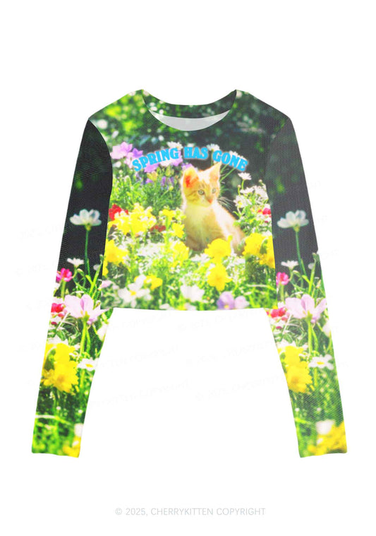 Spring Has Gone Y2K Mesh Long Sleeve Crop Top Cherrykitten